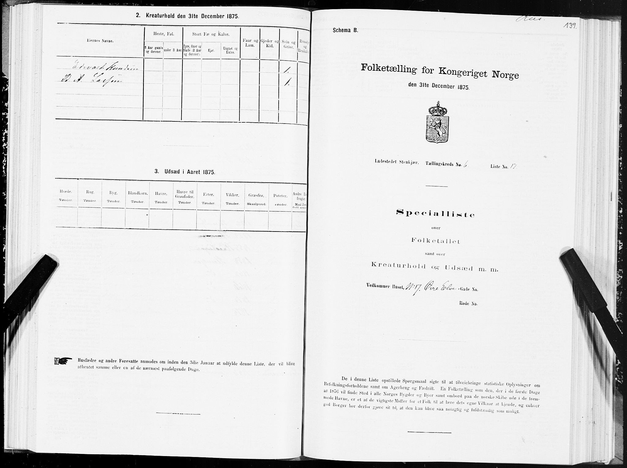 SAT, 1875 census for 1702B Steinkjer/Steinkjer, 1875, p. 139