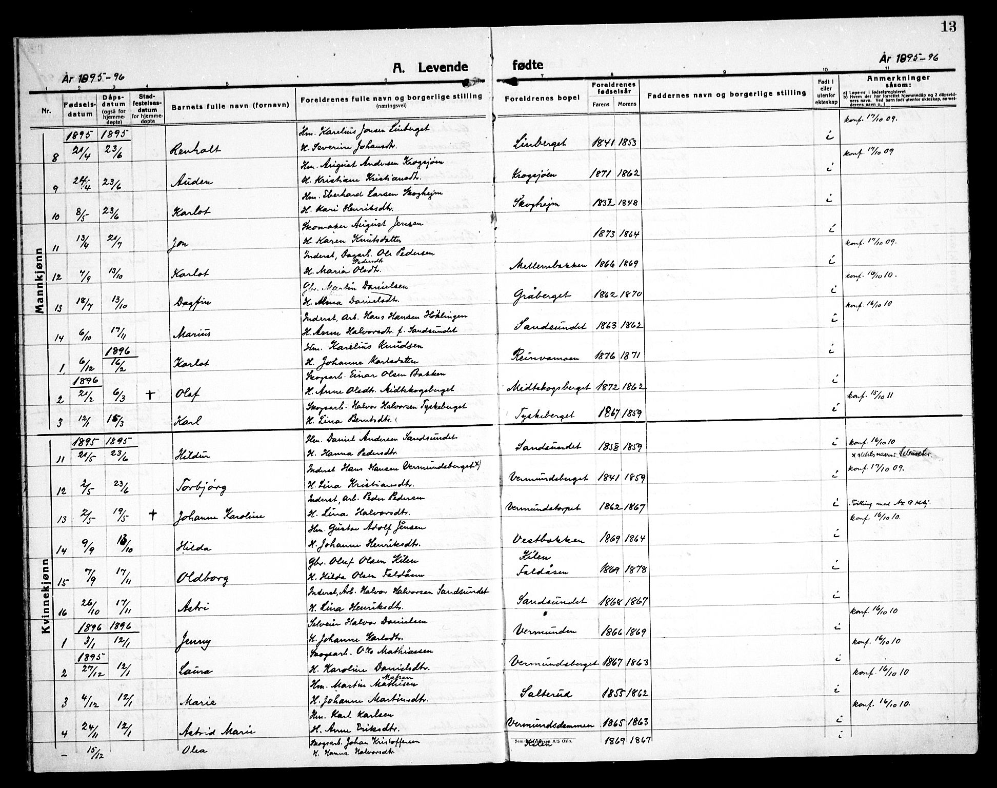 Åsnes prestekontor, AV/SAH-PREST-042/H/Ha/Haa/L0000E: Parish register (official) no. 0C, 1890-1929, p. 13