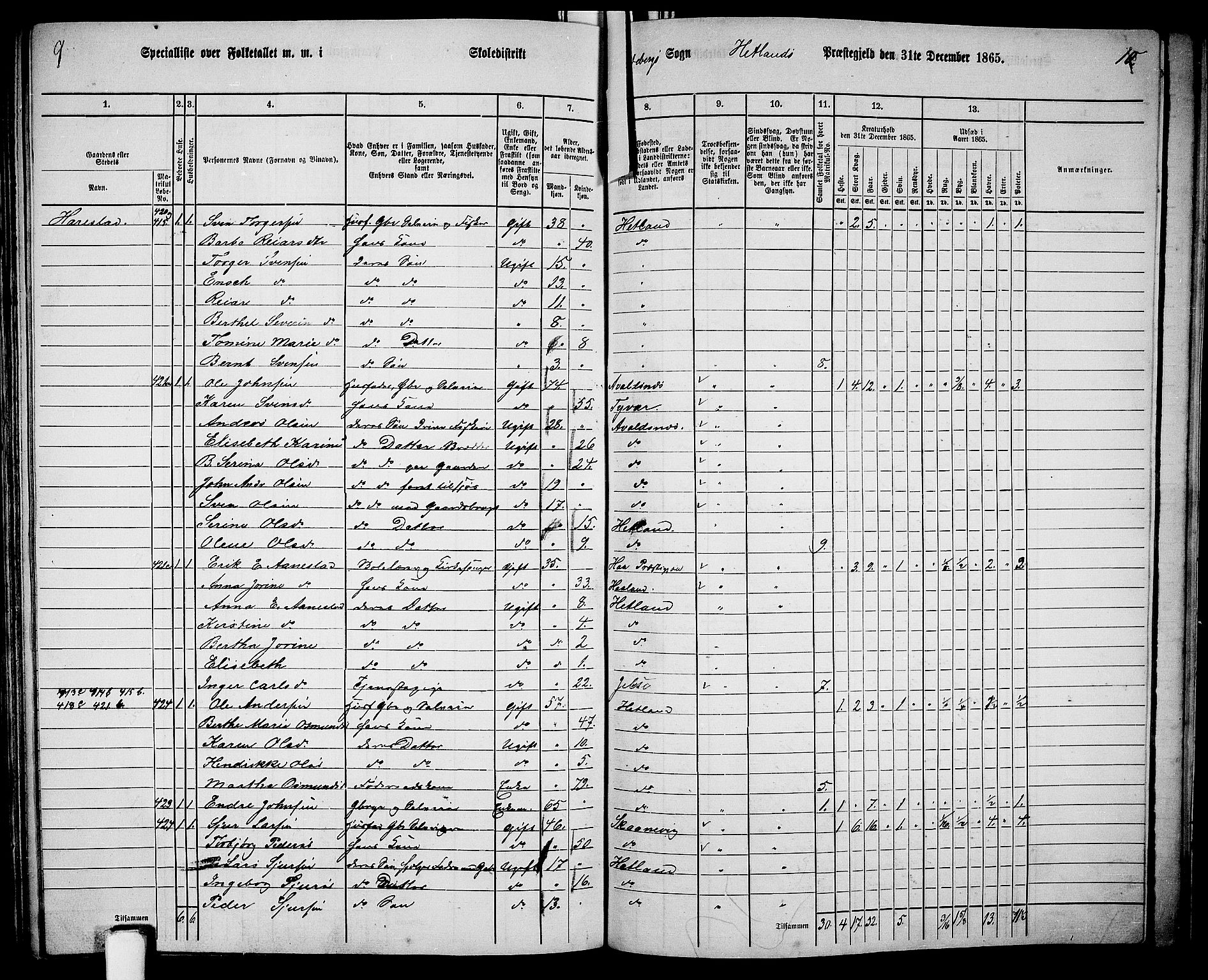 RA, 1865 census for Hetland, 1865, p. 191