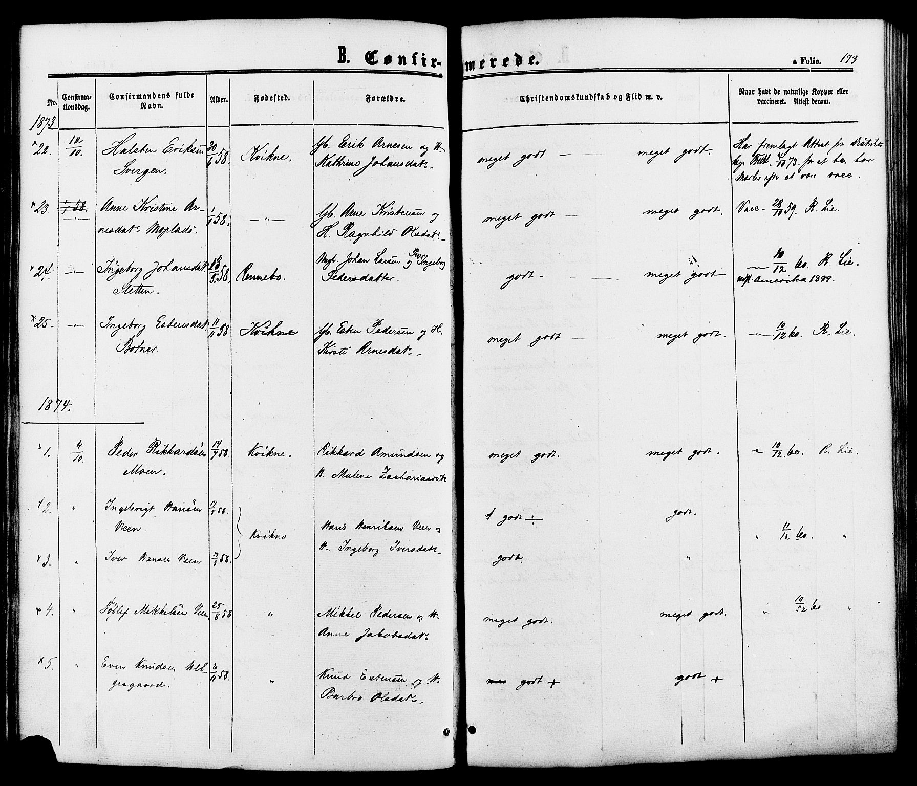 Kvikne prestekontor, SAH/PREST-064/H/Ha/Haa/L0006: Parish register (official) no. 6, 1863-1886, p. 173