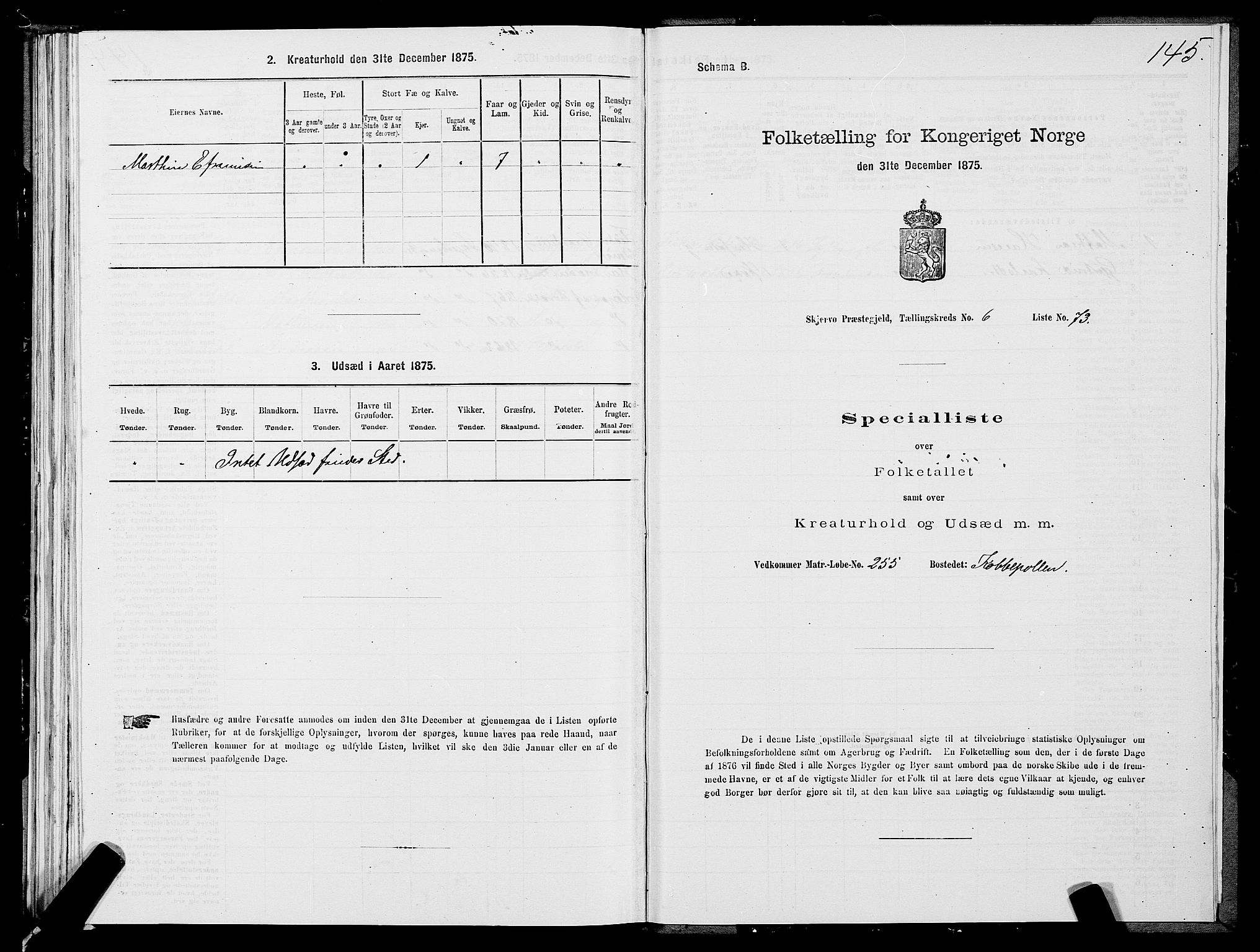 SATØ, 1875 census for 1941P Skjervøy, 1875, p. 5145