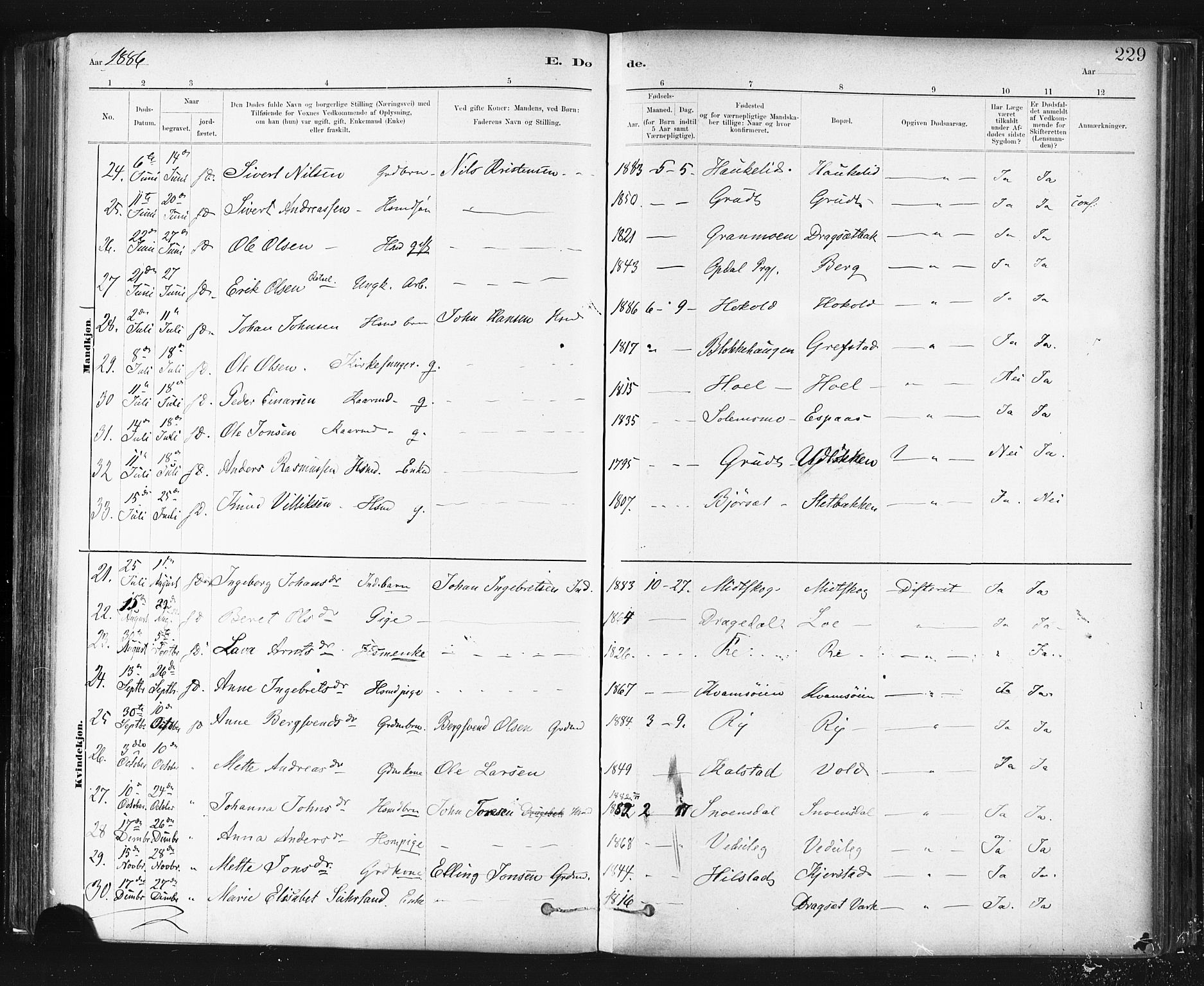 Ministerialprotokoller, klokkerbøker og fødselsregistre - Sør-Trøndelag, AV/SAT-A-1456/672/L0857: Parish register (official) no. 672A09, 1882-1893, p. 229