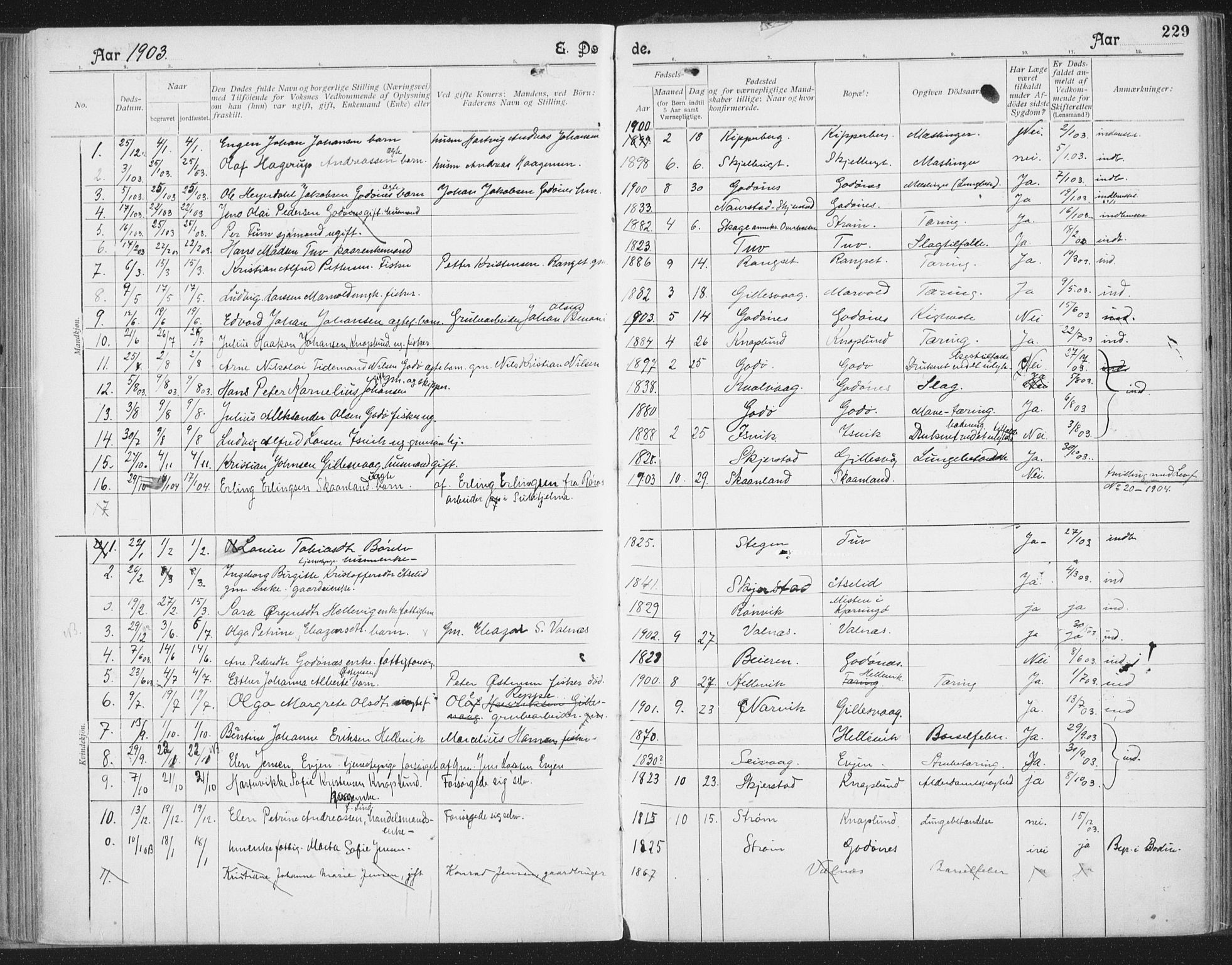 Ministerialprotokoller, klokkerbøker og fødselsregistre - Nordland, SAT/A-1459/804/L0081: Parish register (official) no. 804A02, 1901-1915, p. 229
