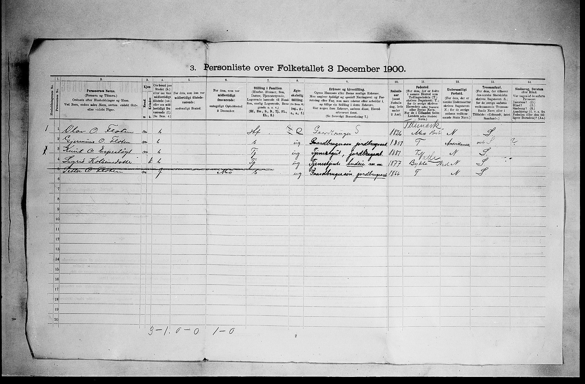 SAKO, 1900 census for Vinje, 1900, p. 33