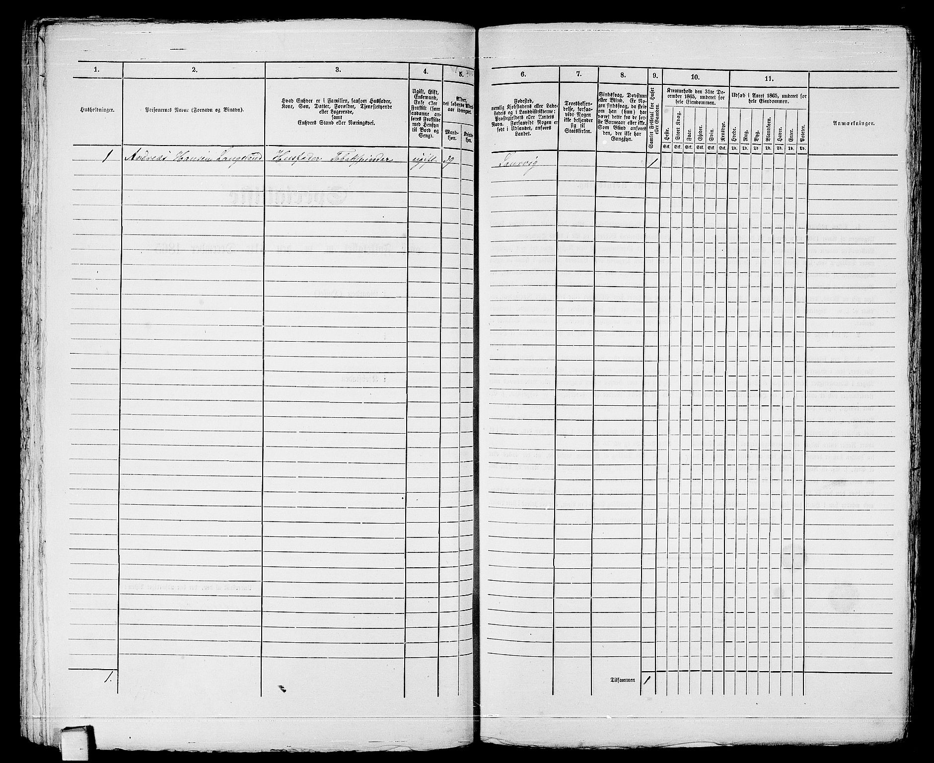 RA, 1865 census for Larvik, 1865, p. 126