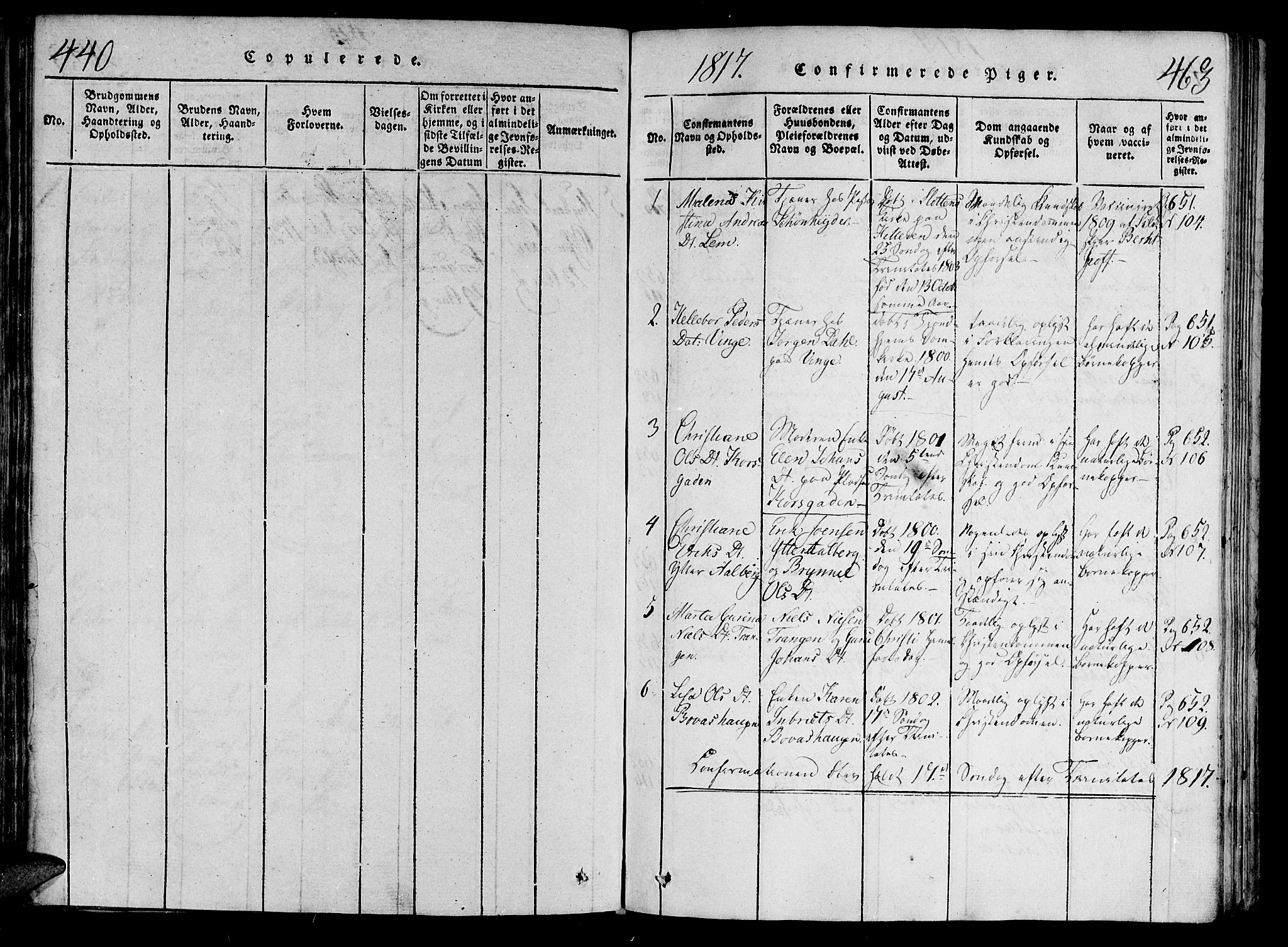 Ministerialprotokoller, klokkerbøker og fødselsregistre - Nord-Trøndelag, SAT/A-1458/701/L0005: Parish register (official) no. 701A05 /1, 1816-1825, p. 440-463