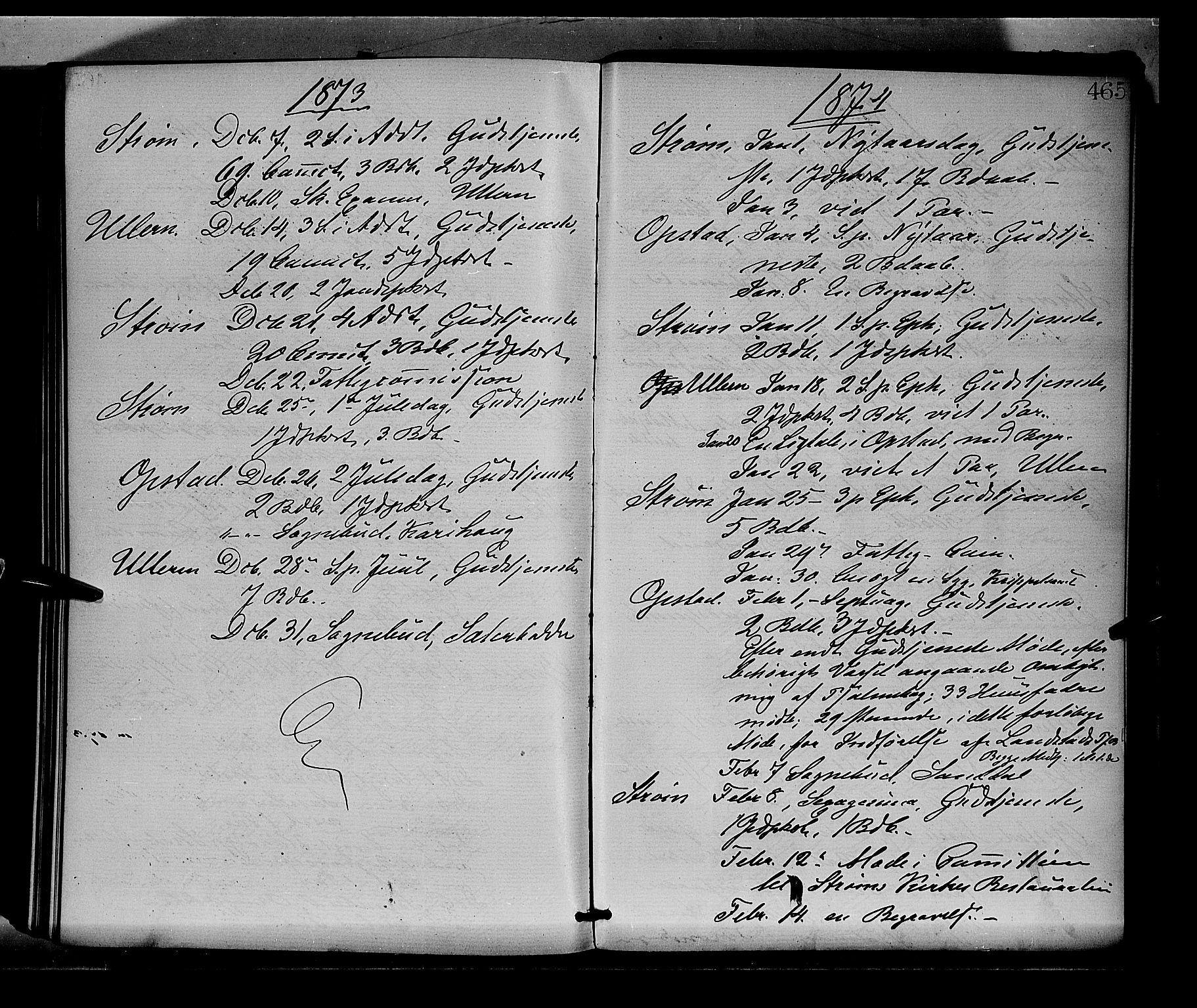 Sør-Odal prestekontor, AV/SAH-PREST-030/H/Ha/Haa/L0004: Parish register (official) no. 4, 1870-1875, p. 465