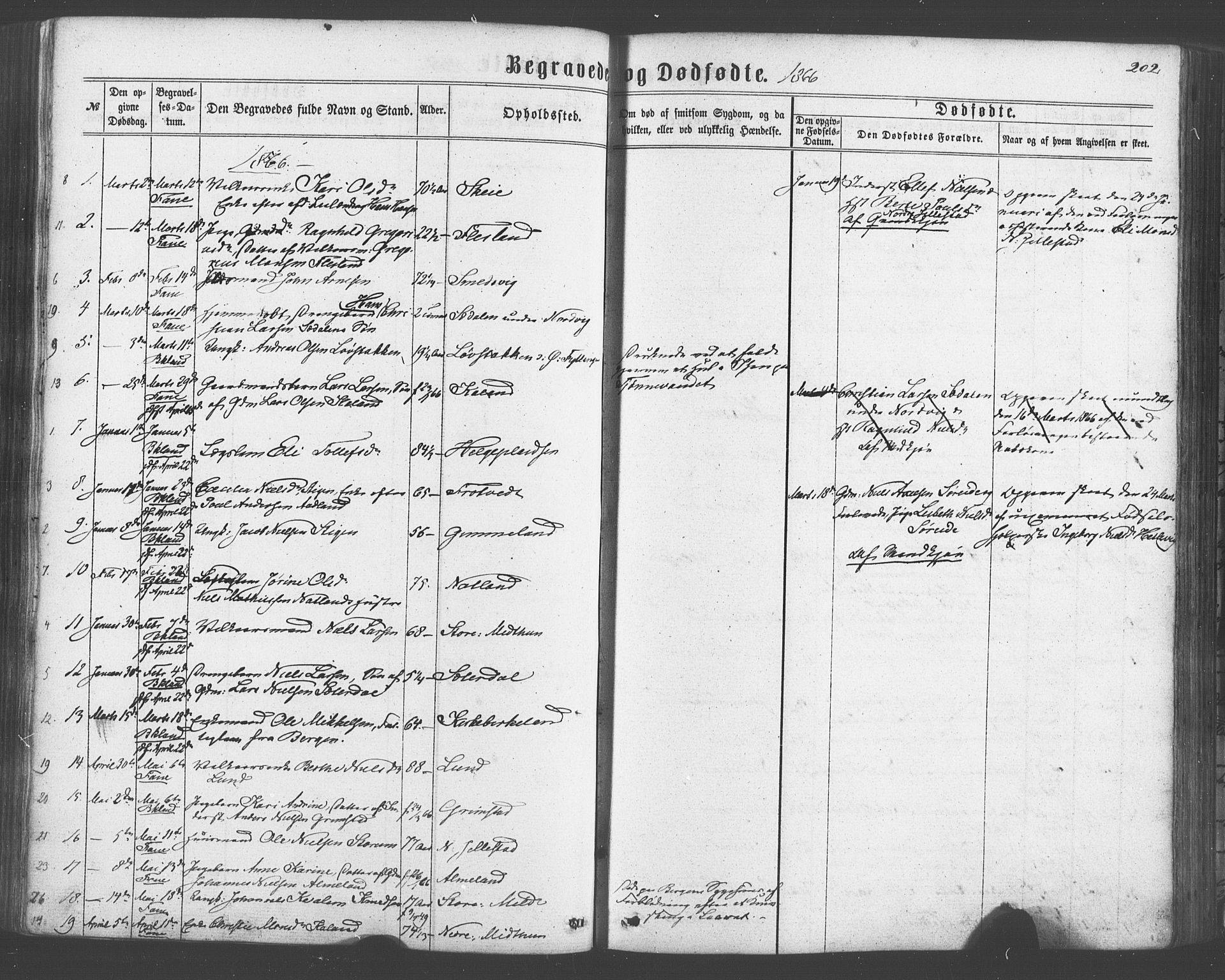 Fana Sokneprestembete, SAB/A-75101/H/Haa/Haaa/L0012: Parish register (official) no. A 12, 1862-1878, p. 202