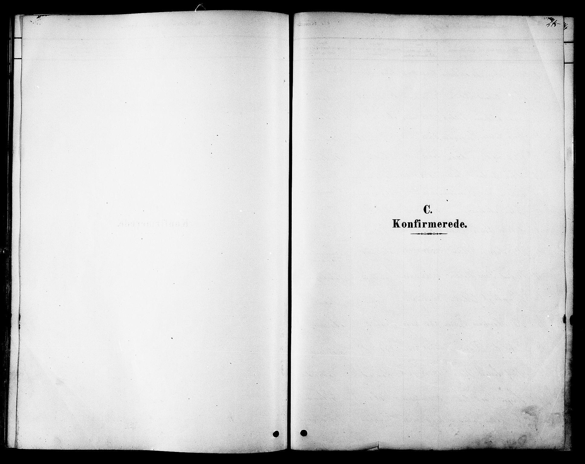 Ministerialprotokoller, klokkerbøker og fødselsregistre - Sør-Trøndelag, SAT/A-1456/606/L0294: Parish register (official) no. 606A09, 1878-1886, p. 215
