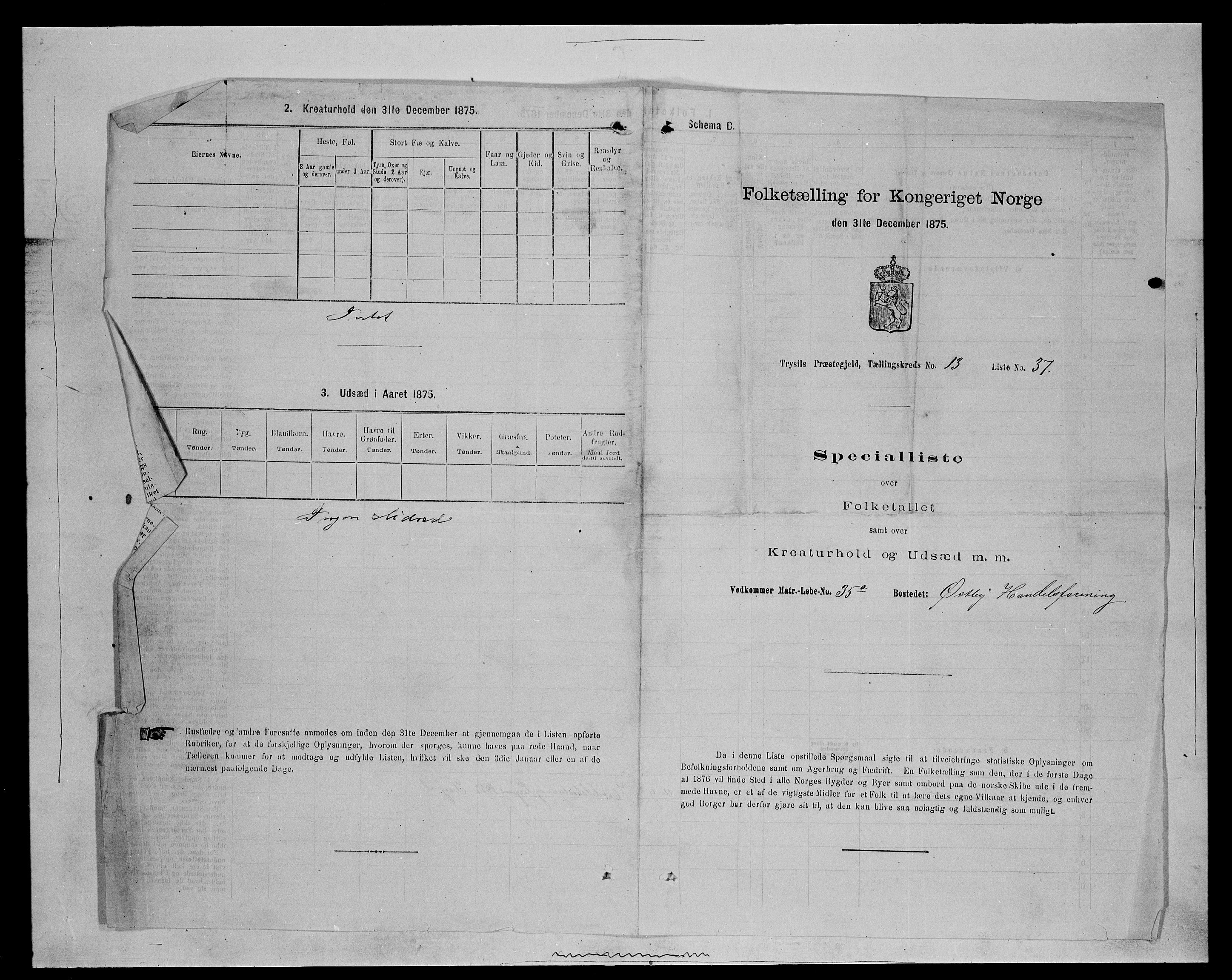 SAH, 1875 census for 0428P Trysil, 1875, p. 1429