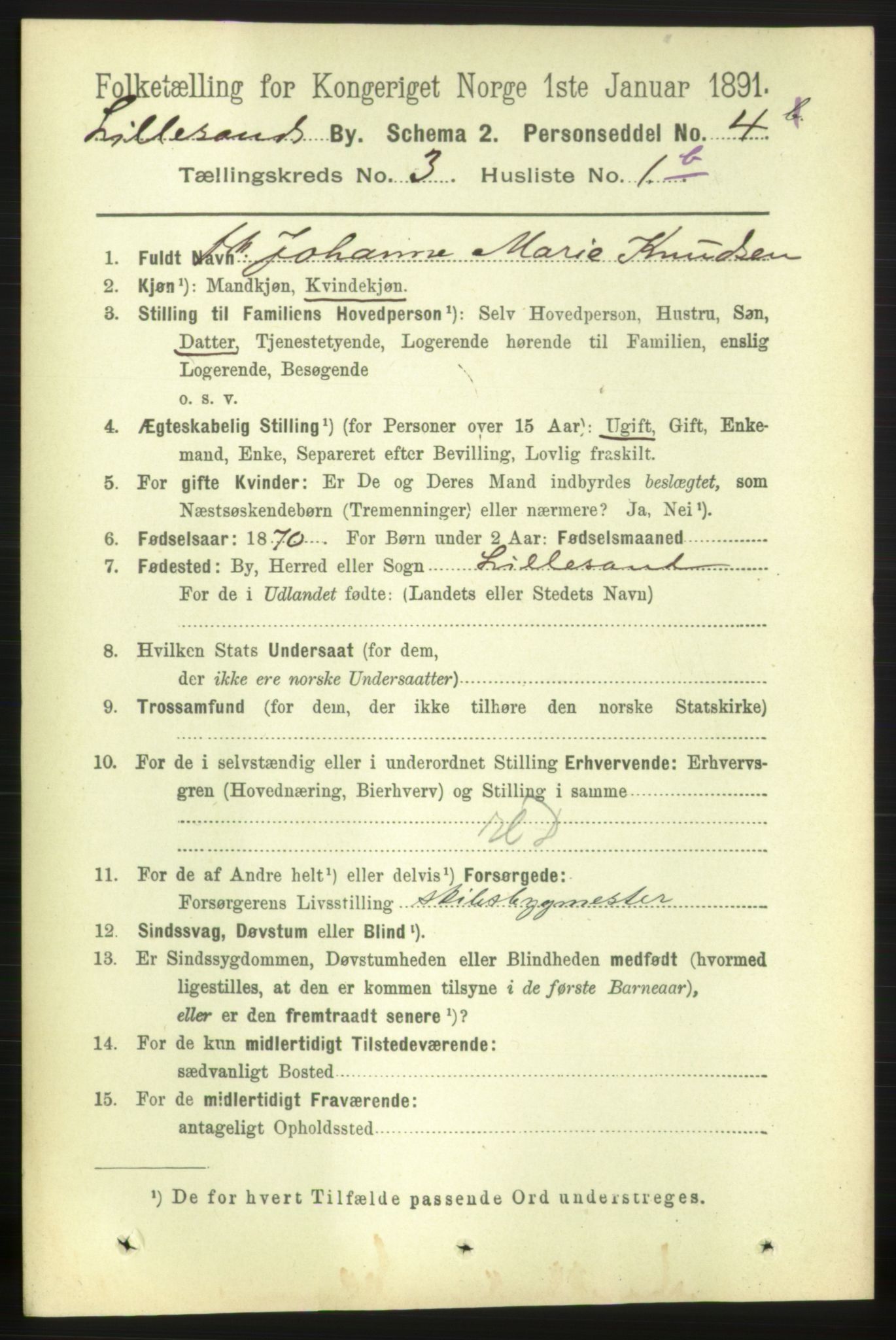 RA, 1891 census for 0905 Lillesand, 1891, p. 645