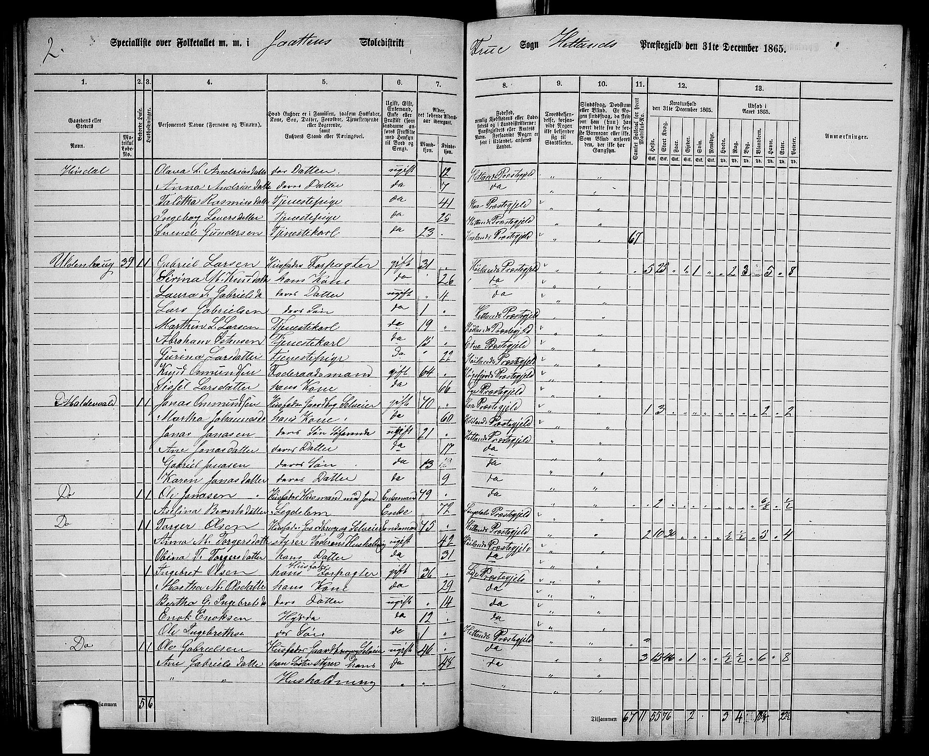 RA, 1865 census for Hetland, 1865, p. 105