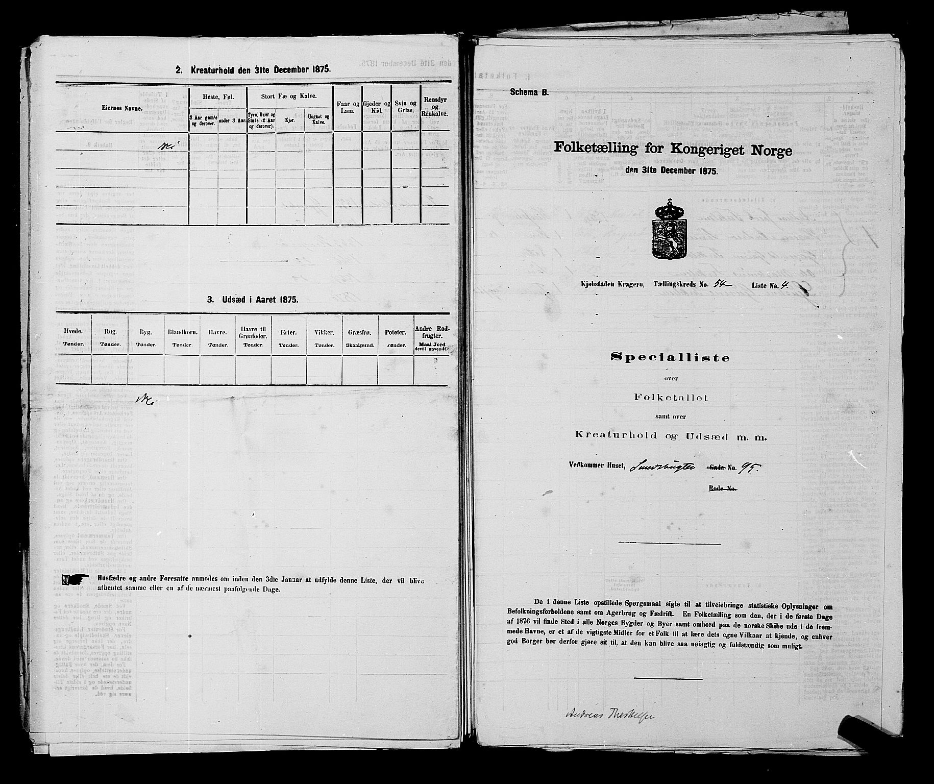 SAKO, 1875 census for 0801P Kragerø, 1875, p. 1191