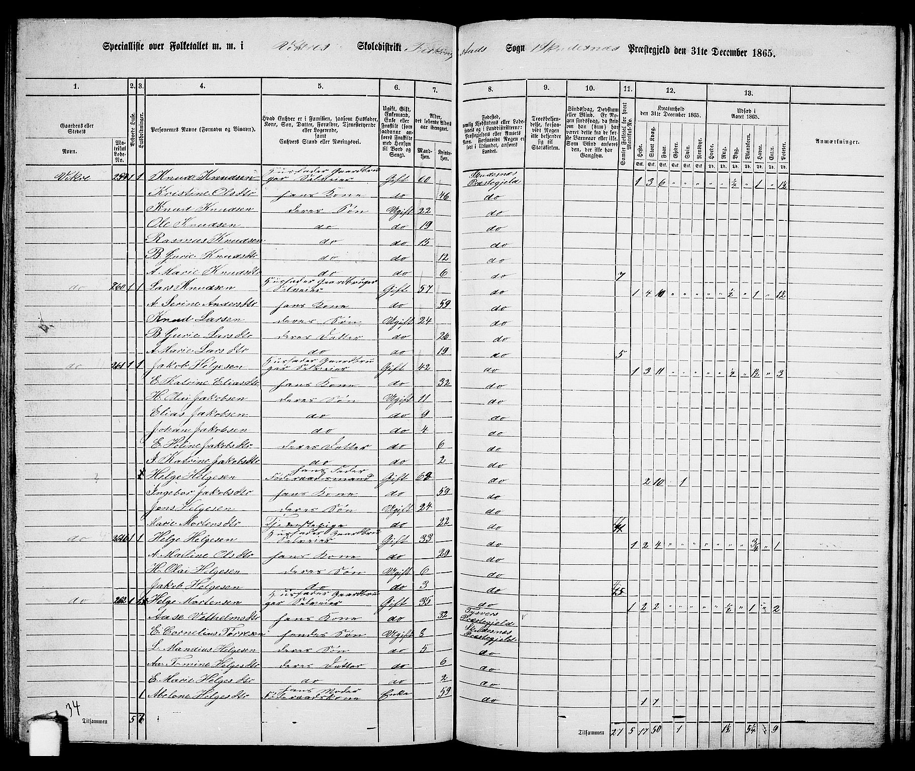 RA, 1865 census for Skudenes, 1865, p. 132