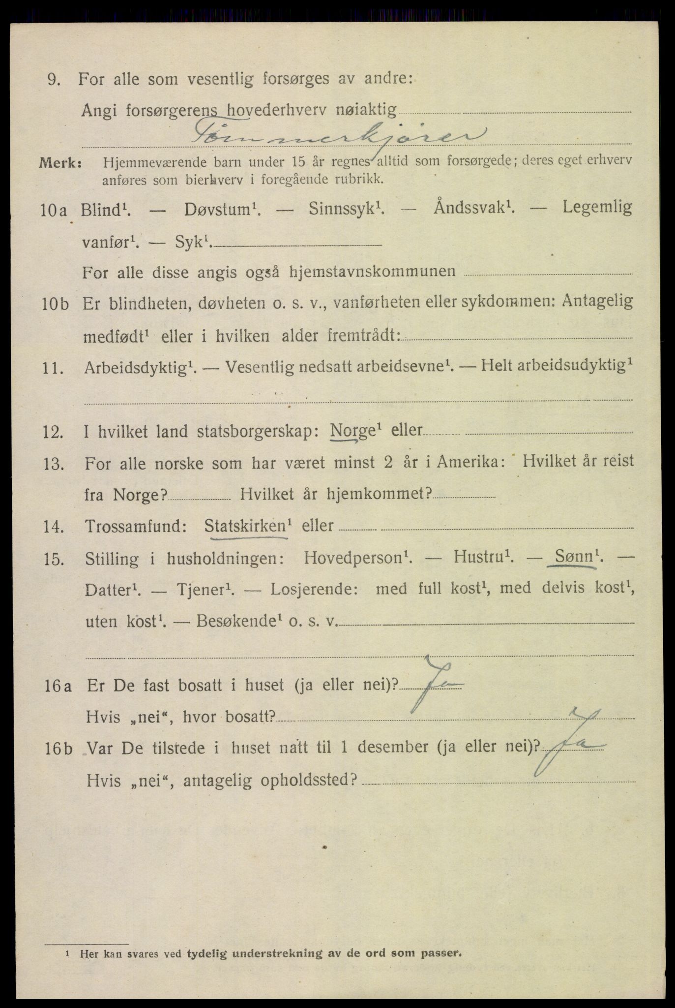 SAH, 1920 census for Trysil, 1920, p. 12586