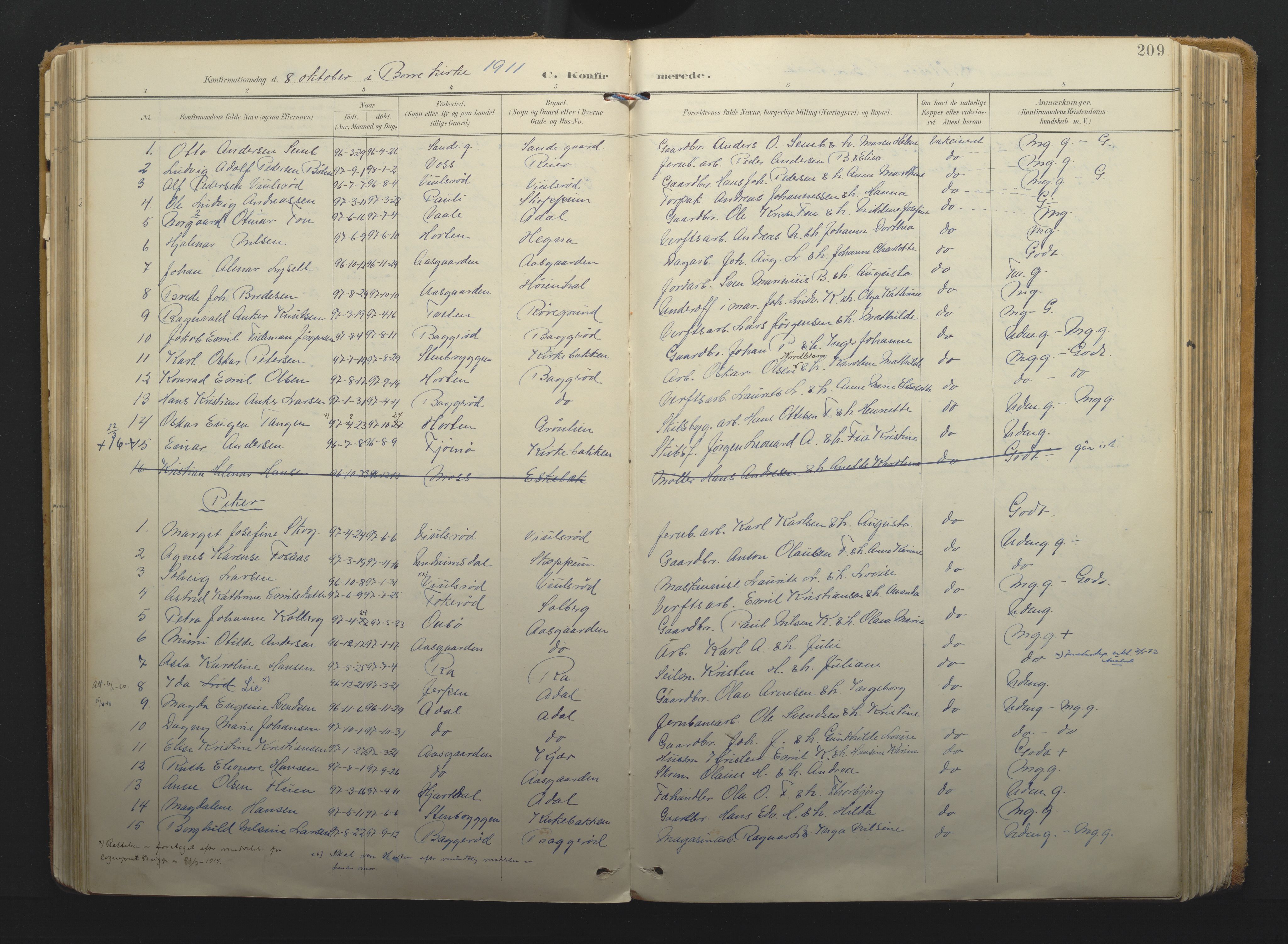 Borre kirkebøker, AV/SAKO-A-338/F/Fa/L0011: Parish register (official) no. I 11, 1897-1921, p. 209