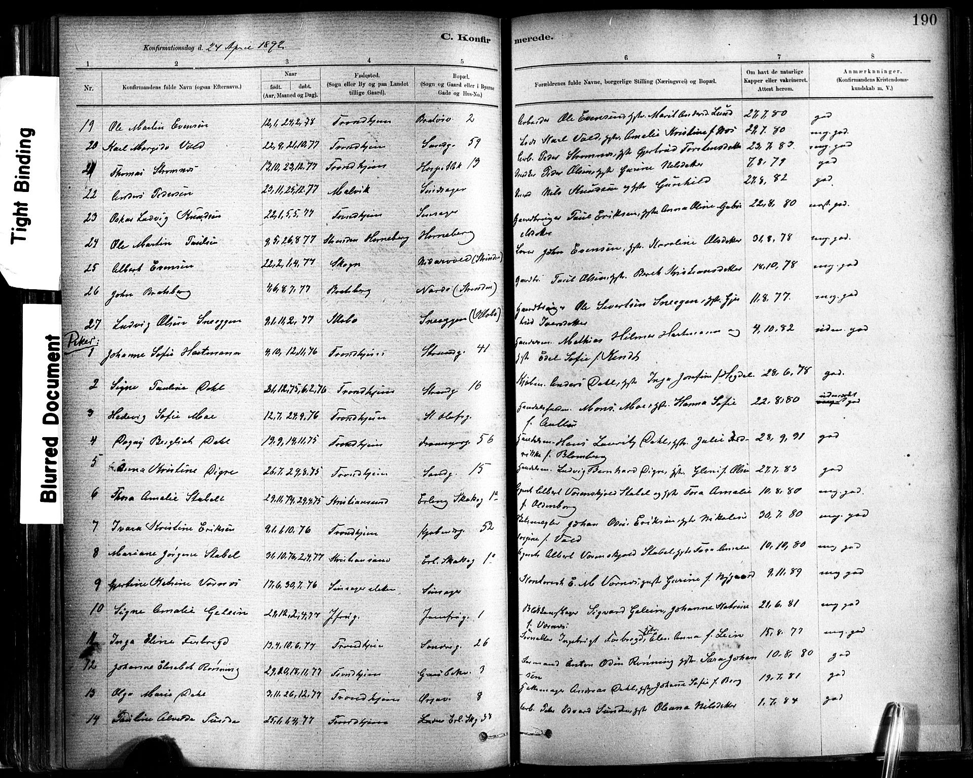 Ministerialprotokoller, klokkerbøker og fødselsregistre - Sør-Trøndelag, SAT/A-1456/602/L0119: Parish register (official) no. 602A17, 1880-1901, p. 190
