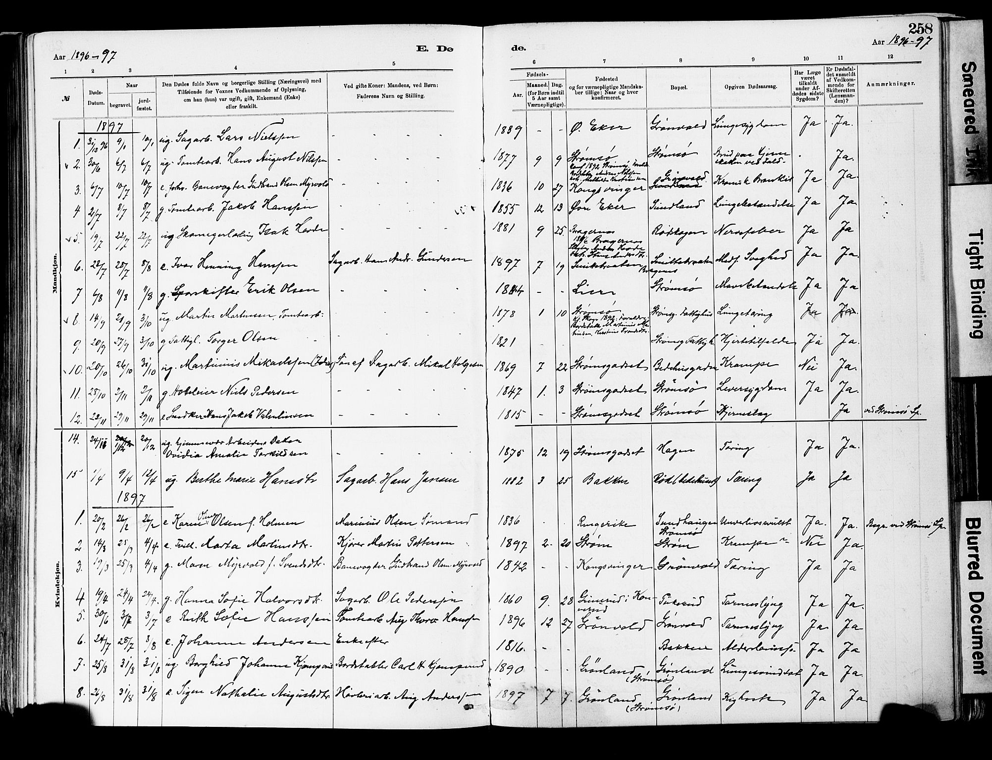 Strømsgodset kirkebøker, AV/SAKO-A-324/F/Fa/L0001: Parish register (official) no. 1, 1885-1909, p. 258