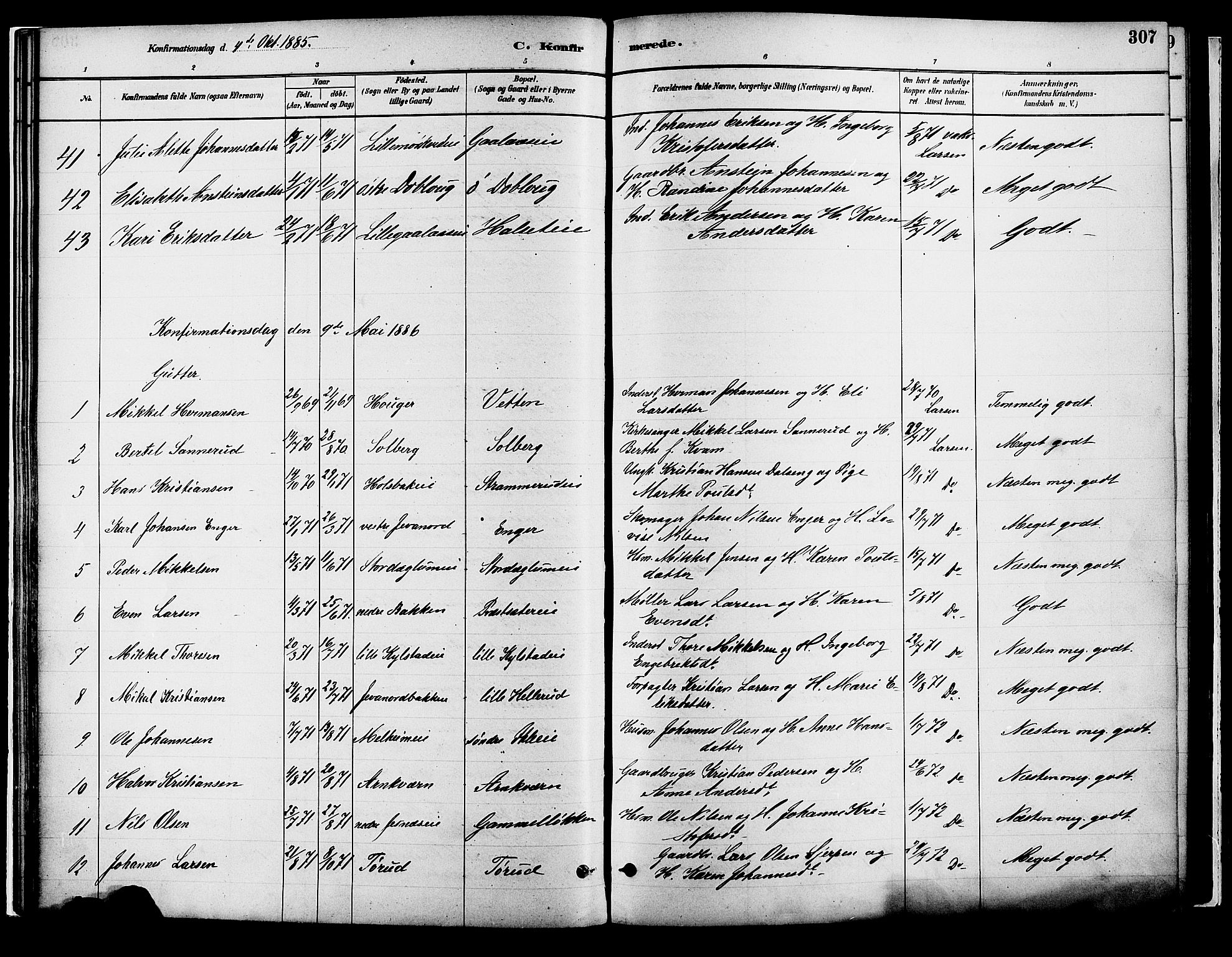 Vang prestekontor, Hedmark, SAH/PREST-008/H/Ha/Haa/L0018B: Parish register (official) no. 18B, 1880-1906, p. 307