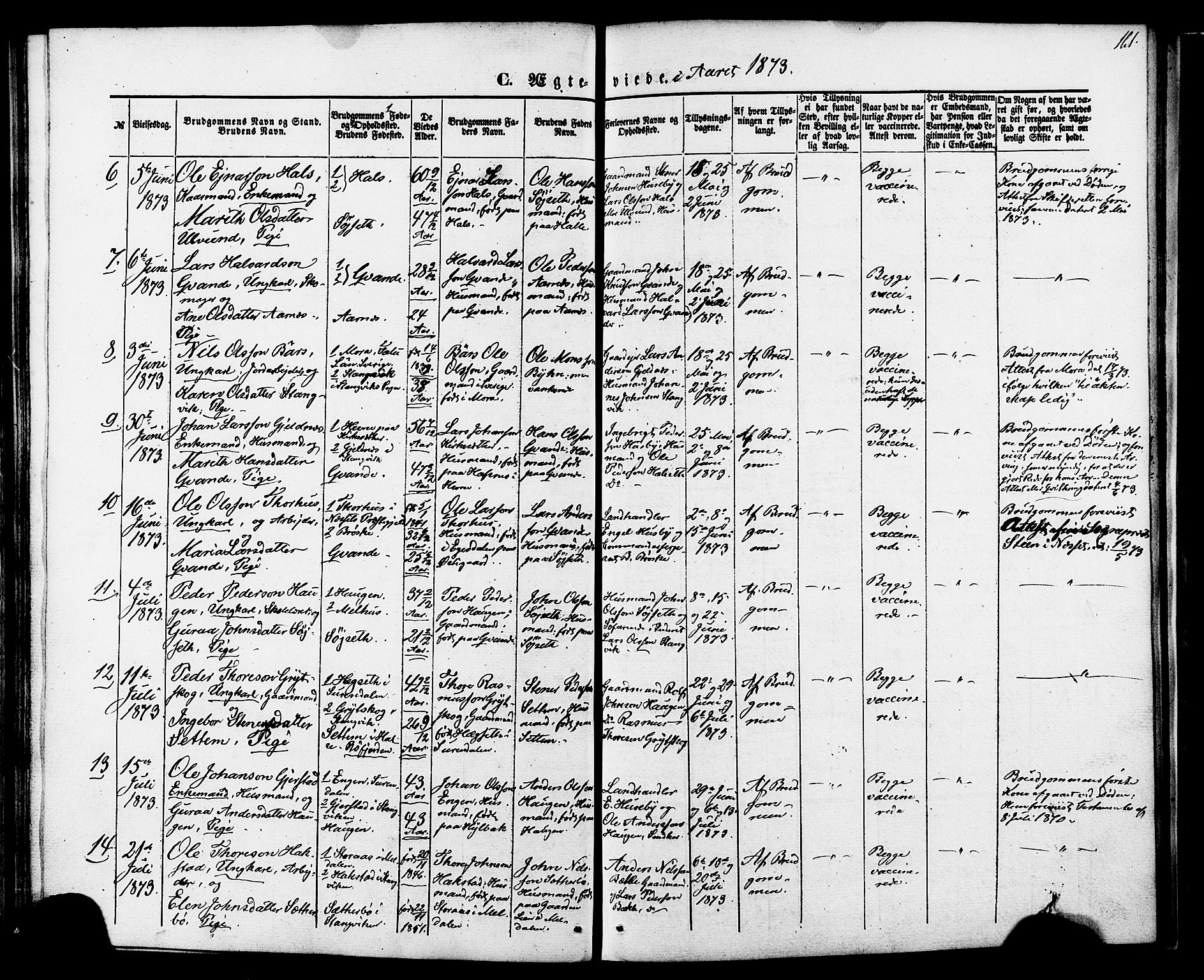 Ministerialprotokoller, klokkerbøker og fødselsregistre - Møre og Romsdal, AV/SAT-A-1454/592/L1027: Parish register (official) no. 592A05, 1865-1878, p. 161