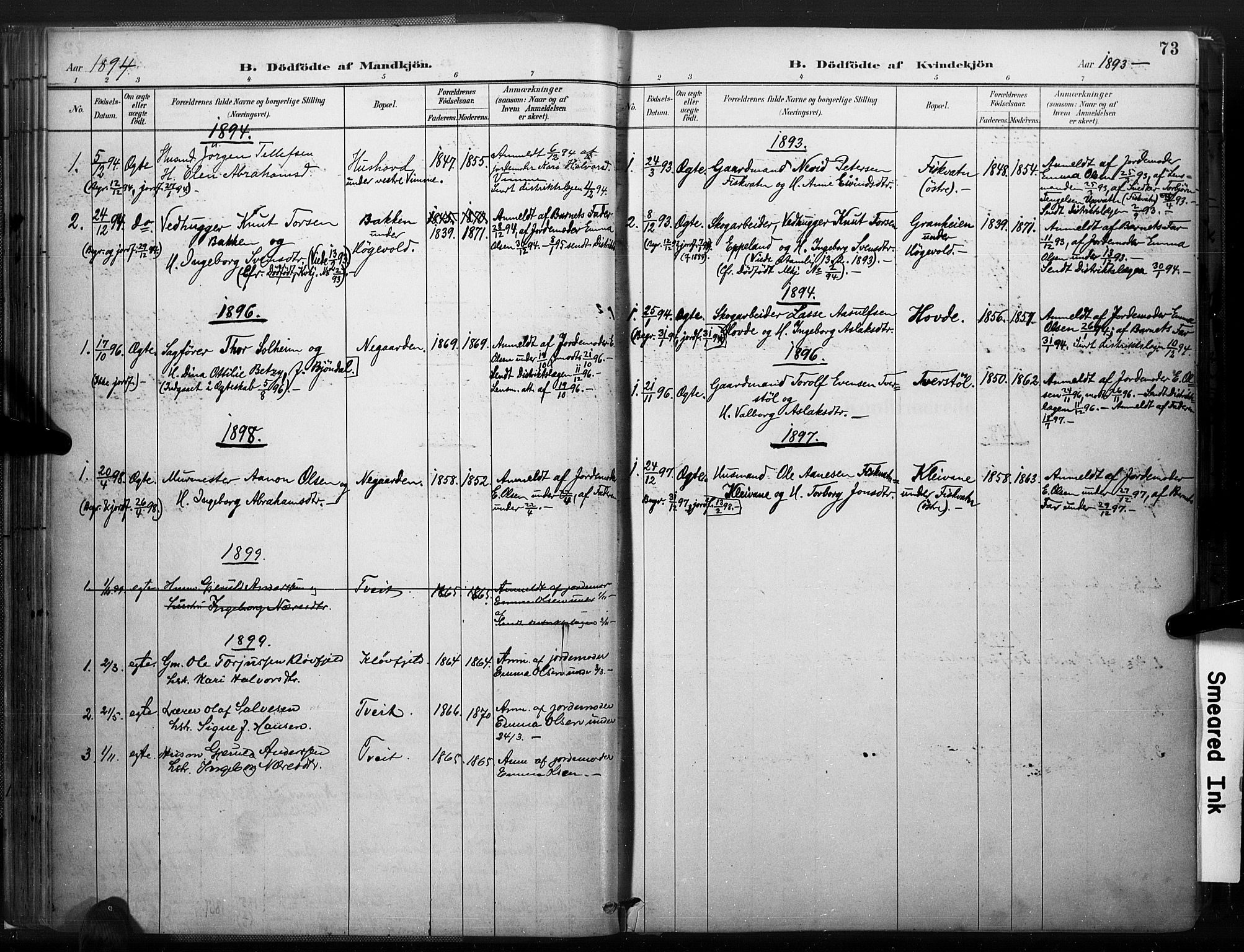 Åmli sokneprestkontor, AV/SAK-1111-0050/F/Fa/Fac/L0010: Parish register (official) no. A 10 /1, 1885-1899, p. 73