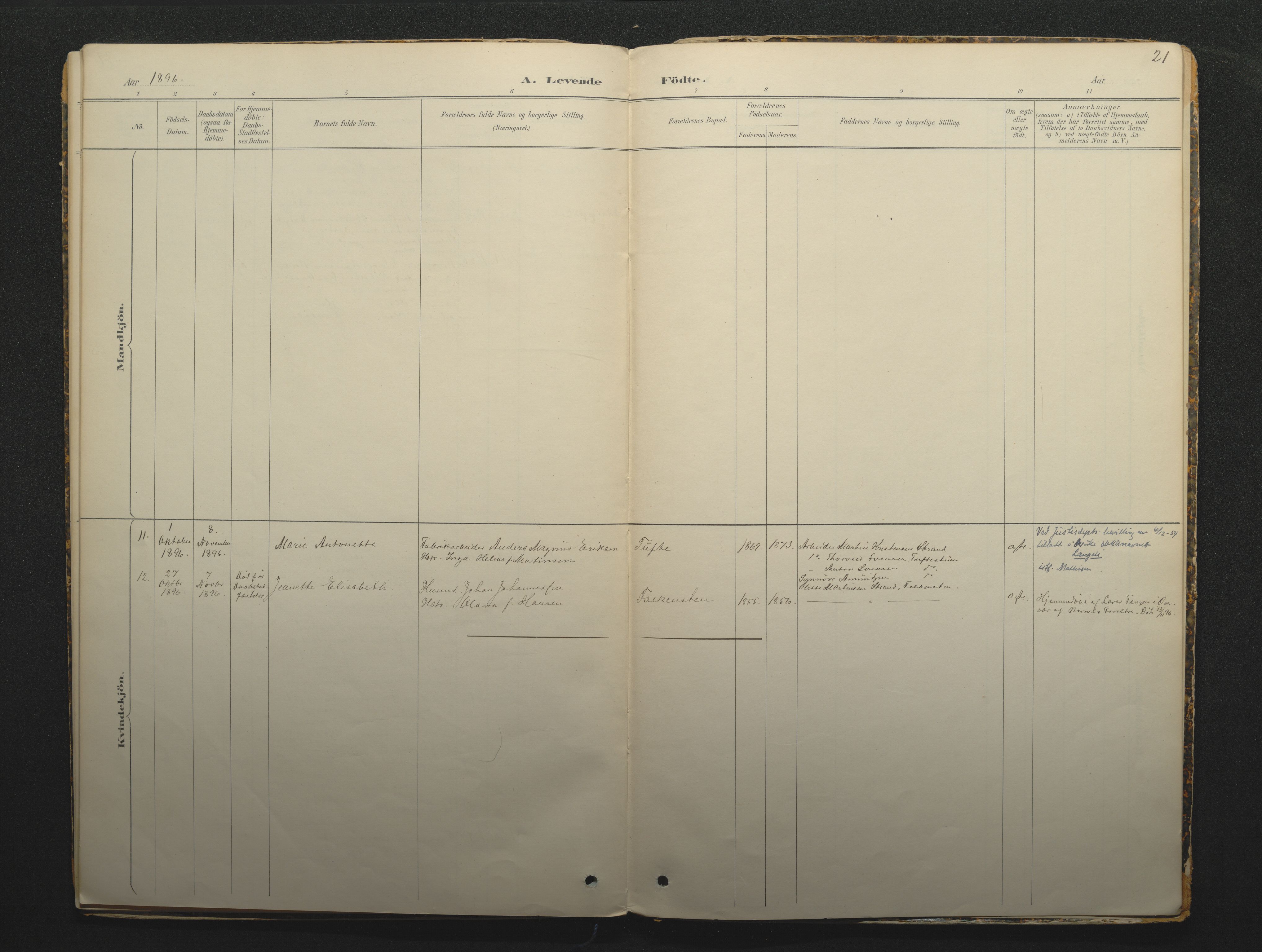 Borre kirkebøker, AV/SAKO-A-338/F/Fc/L0002: Parish register (official) no. III 2, 1888-1896, p. 21