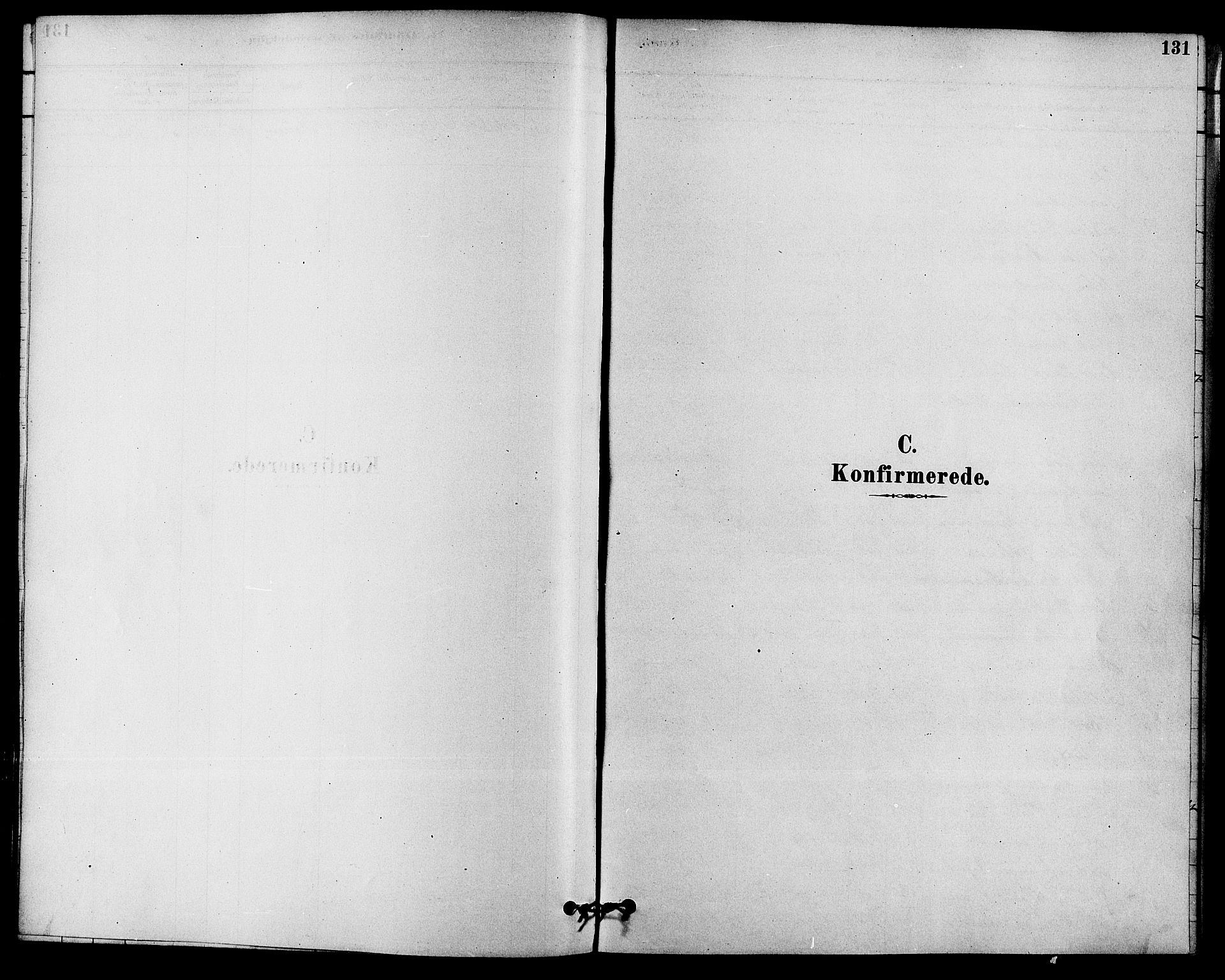 Solum kirkebøker, SAKO/A-306/F/Fa/L0009: Parish register (official) no. I 9, 1877-1887, p. 131