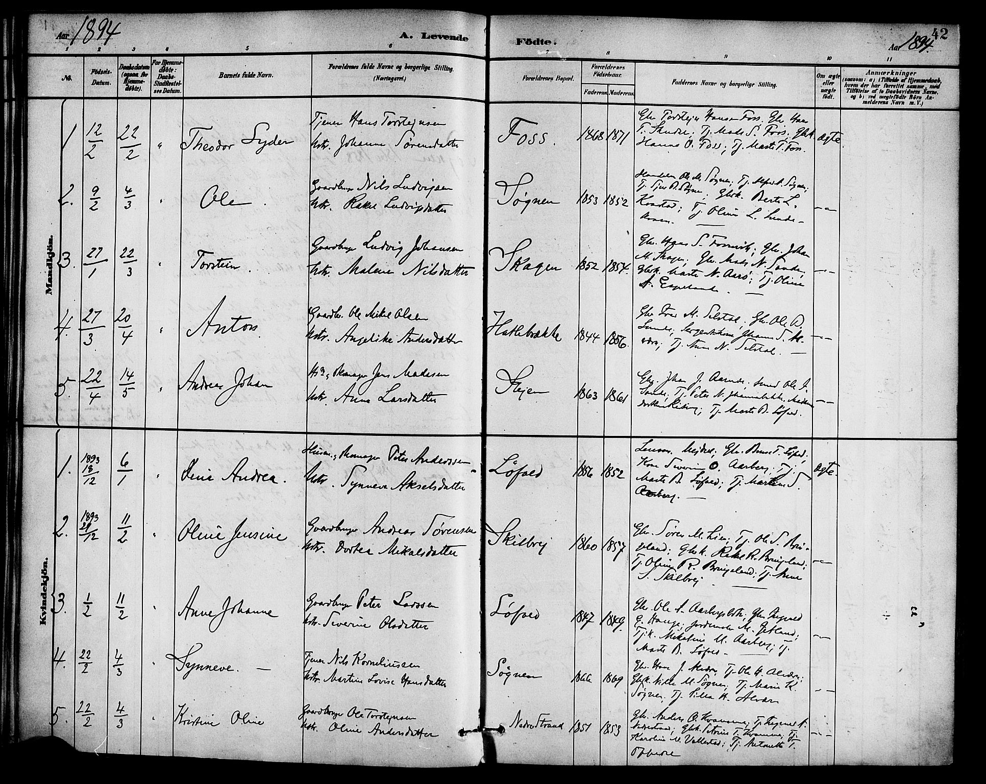 Gaular sokneprestembete, SAB/A-80001/H/Haa: Parish register (official) no. B 1, 1882-1897, p. 42