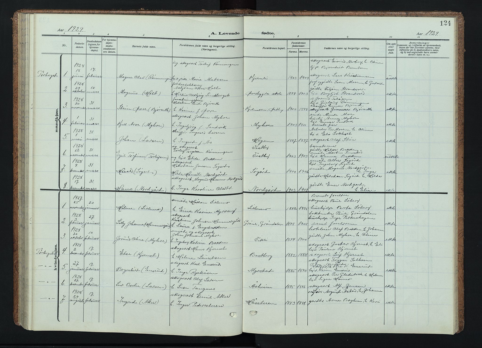 Trysil prestekontor, SAH/PREST-046/H/Ha/Haa/L0015: Parish register (official) no. 15, 1913-1934, p. 124