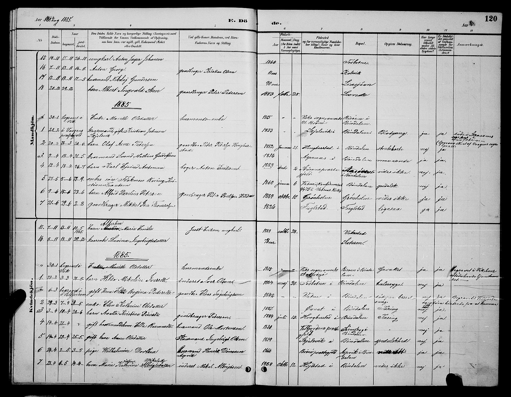 Ministerialprotokoller, klokkerbøker og fødselsregistre - Nordland, SAT/A-1459/810/L0160: Parish register (copy) no. 810C03, 1884-1896, p. 120
