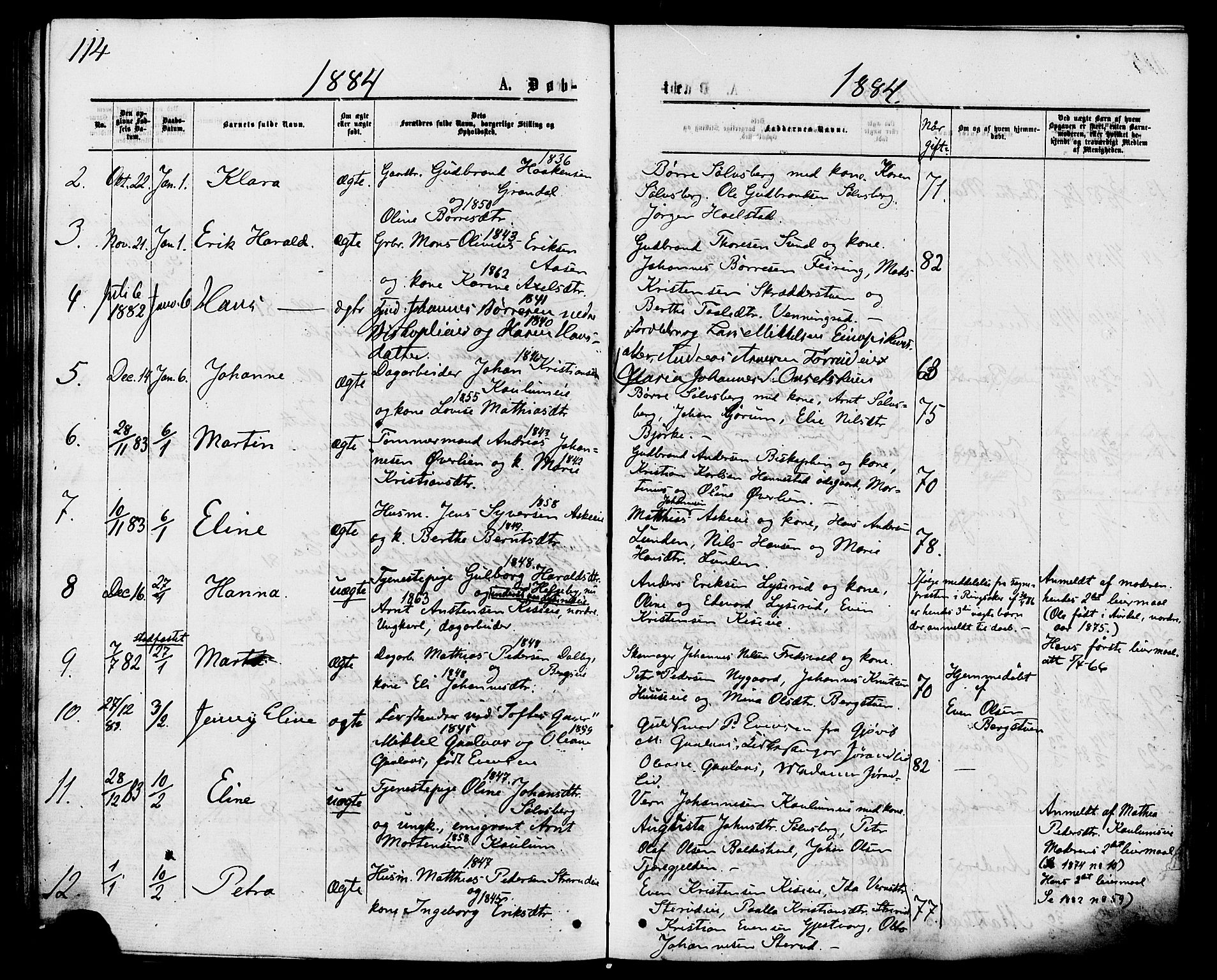 Nes prestekontor, Hedmark, AV/SAH-PREST-020/K/Ka/L0005: Parish register (official) no. 5, 1872-1886, p. 114