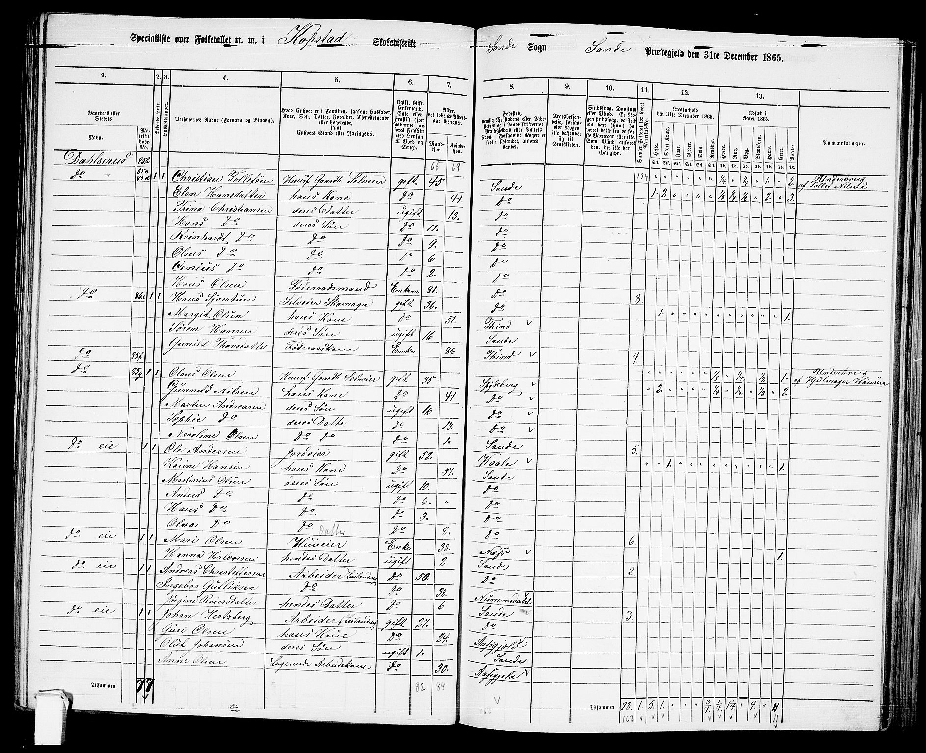 RA, 1865 census for Sande, 1865, p. 63