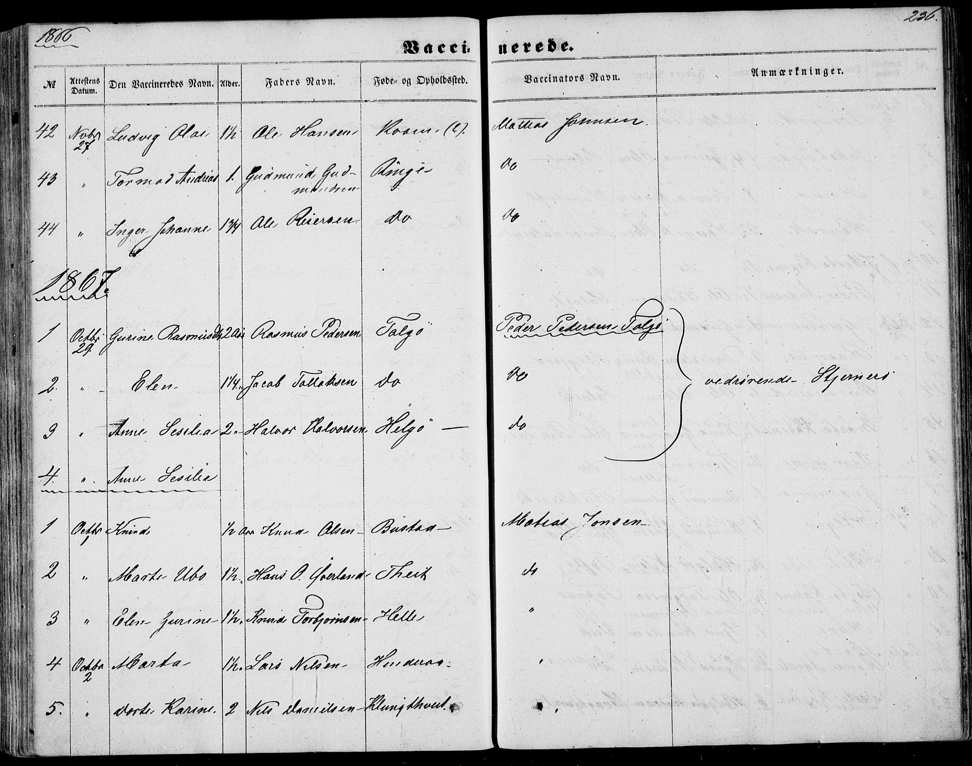 Nedstrand sokneprestkontor, SAST/A-101841/01/IV: Parish register (official) no. A 9, 1861-1876, p. 236