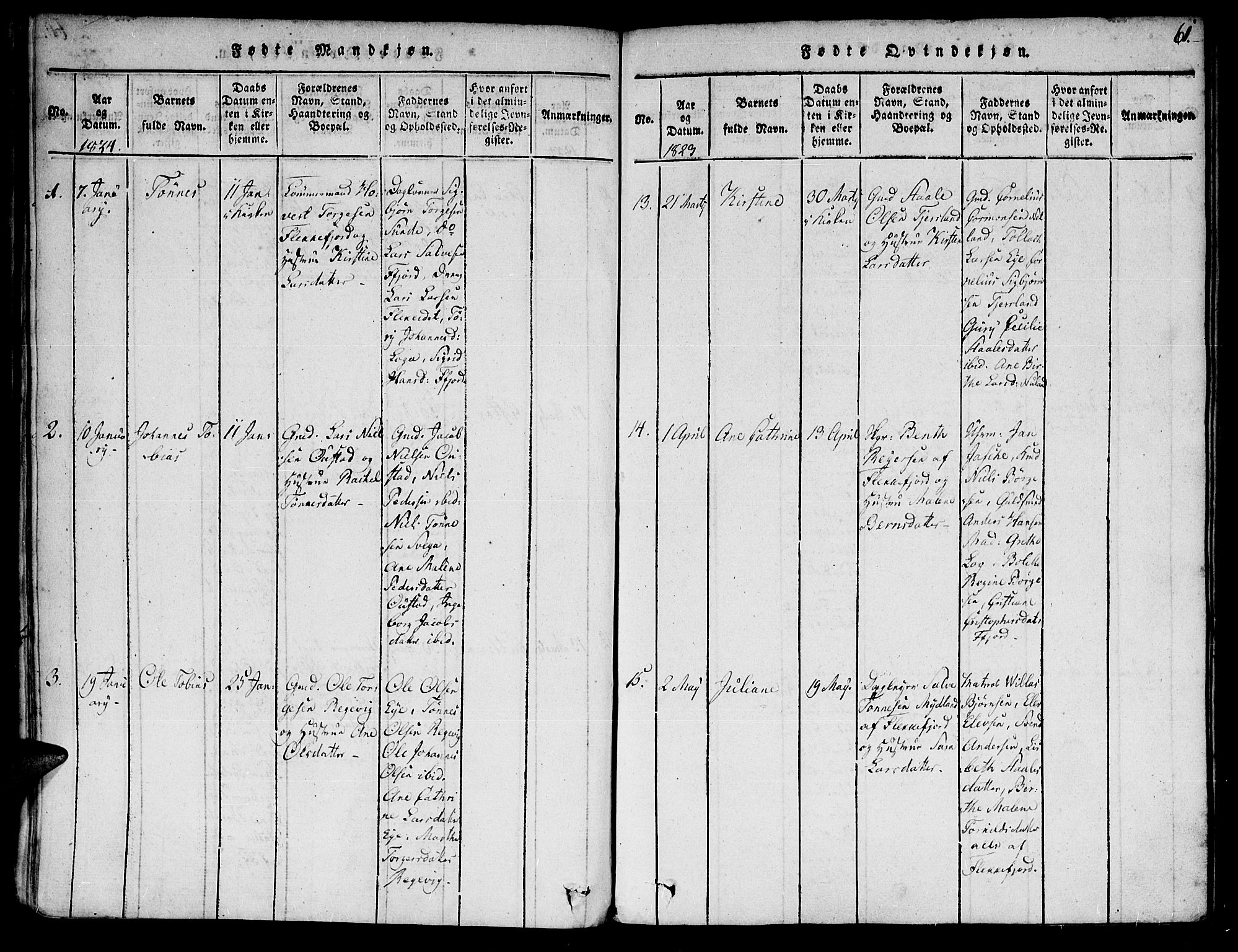 Flekkefjord sokneprestkontor, SAK/1111-0012/F/Fa/Fac/L0002: Parish register (official) no. A 2, 1815-1826, p. 61