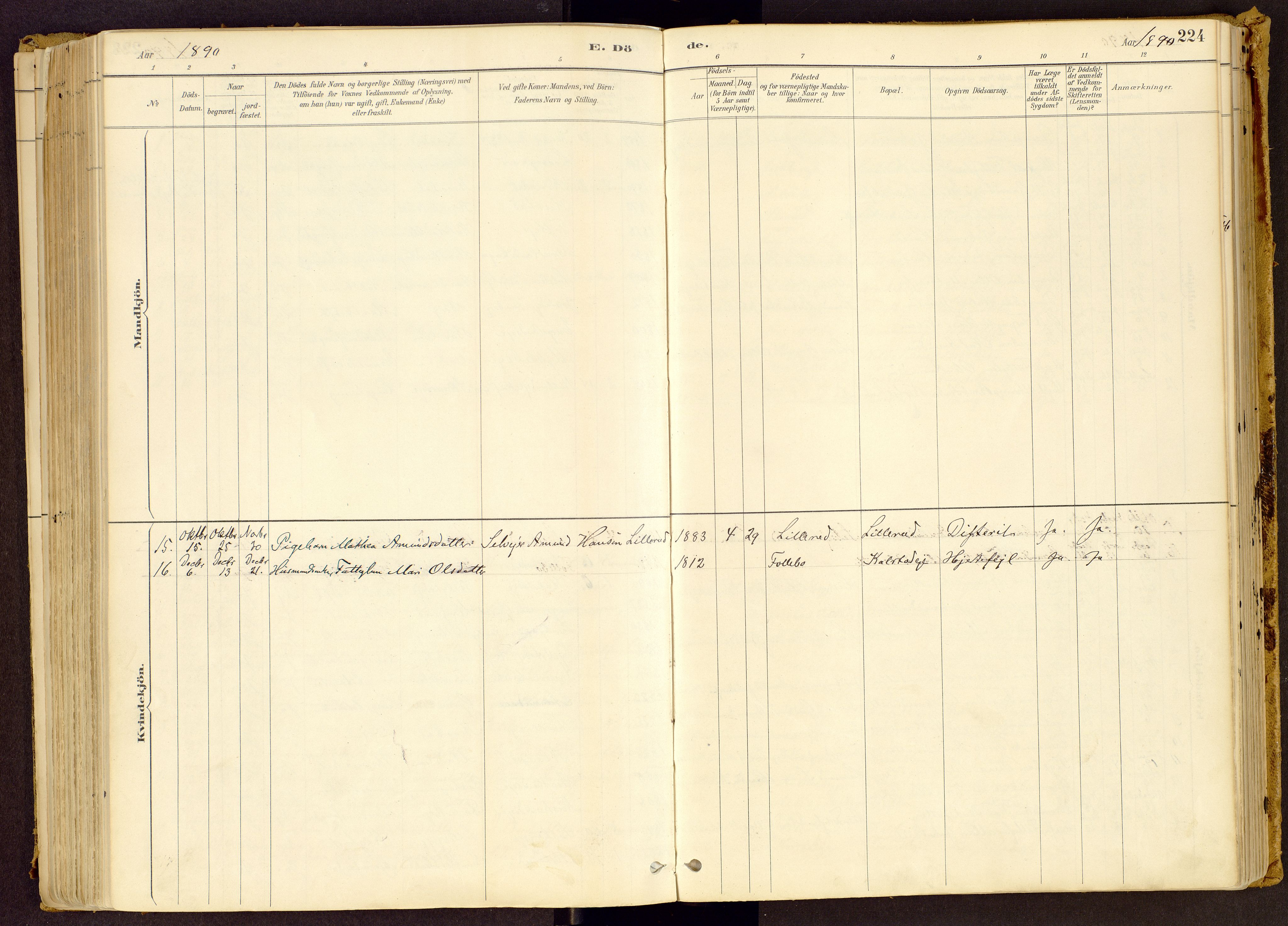 Vestre Gausdal prestekontor, SAH/PREST-094/H/Ha/Haa/L0001: Parish register (official) no. 1, 1887-1914, p. 224