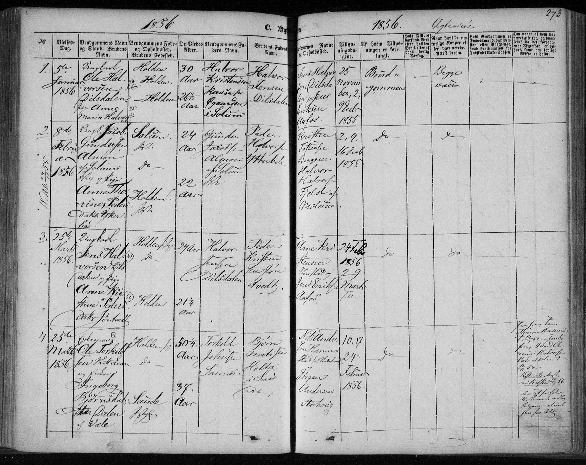 Holla kirkebøker, SAKO/A-272/F/Fa/L0005: Parish register (official) no. 5, 1849-1860, p. 273