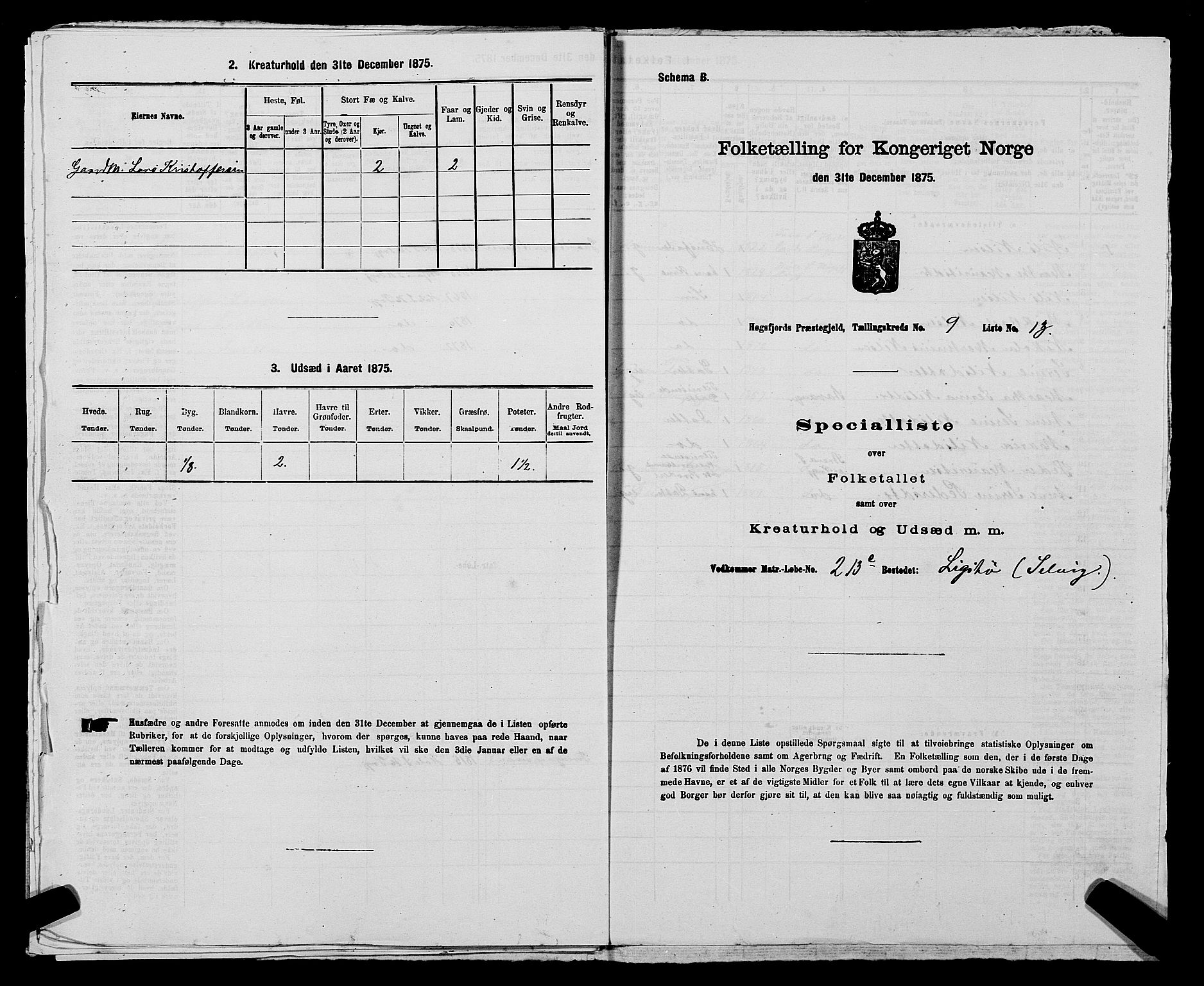 SAST, 1875 census for 1128P Høgsfjord, 1875, p. 770