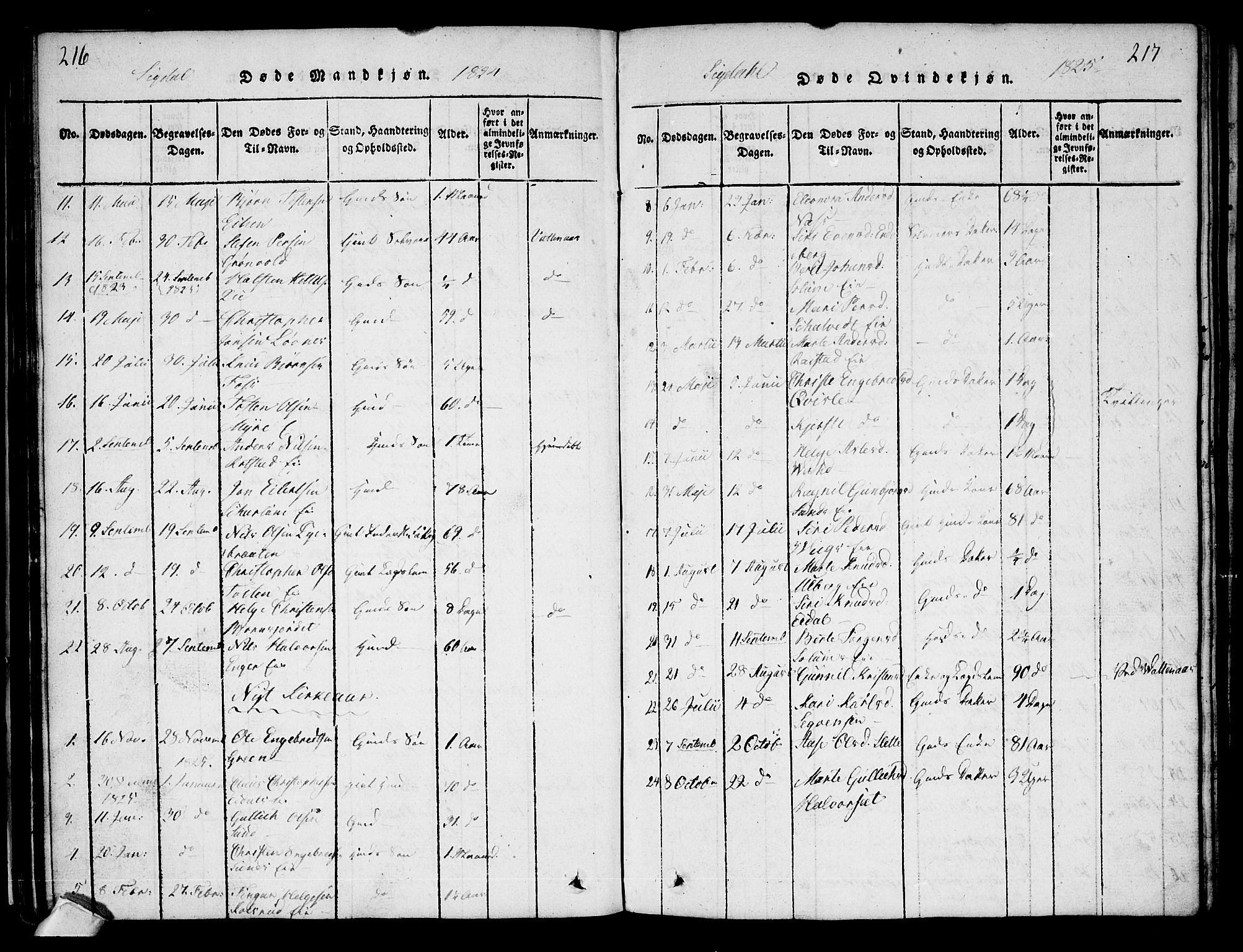 Sigdal kirkebøker, SAKO/A-245/G/Ga/L0001: Parish register (copy) no. I 1 /1, 1816-1835, p. 216-217