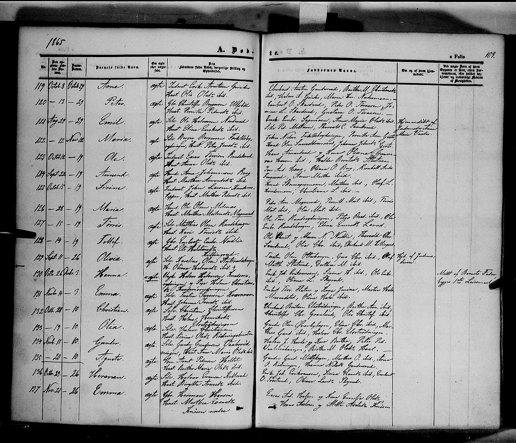 Våler prestekontor, Hedmark, SAH/PREST-040/H/Ha/Haa/L0001: Parish register (official) no. 1, 1849-1878, p. 109