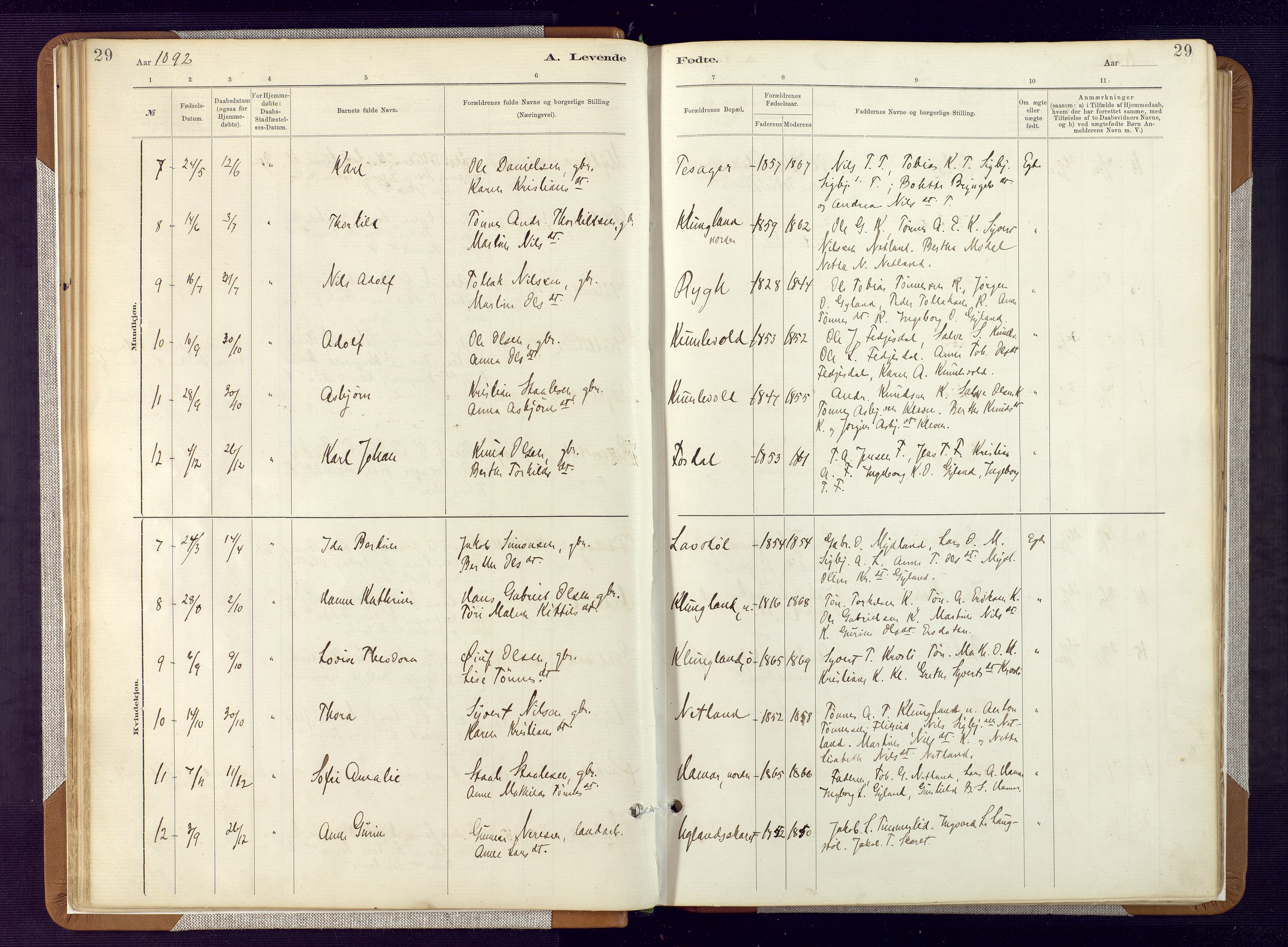 Bakke sokneprestkontor, AV/SAK-1111-0002/F/Fa/Fab/L0003: Parish register (official) no. A 3, 1884-1921, p. 29