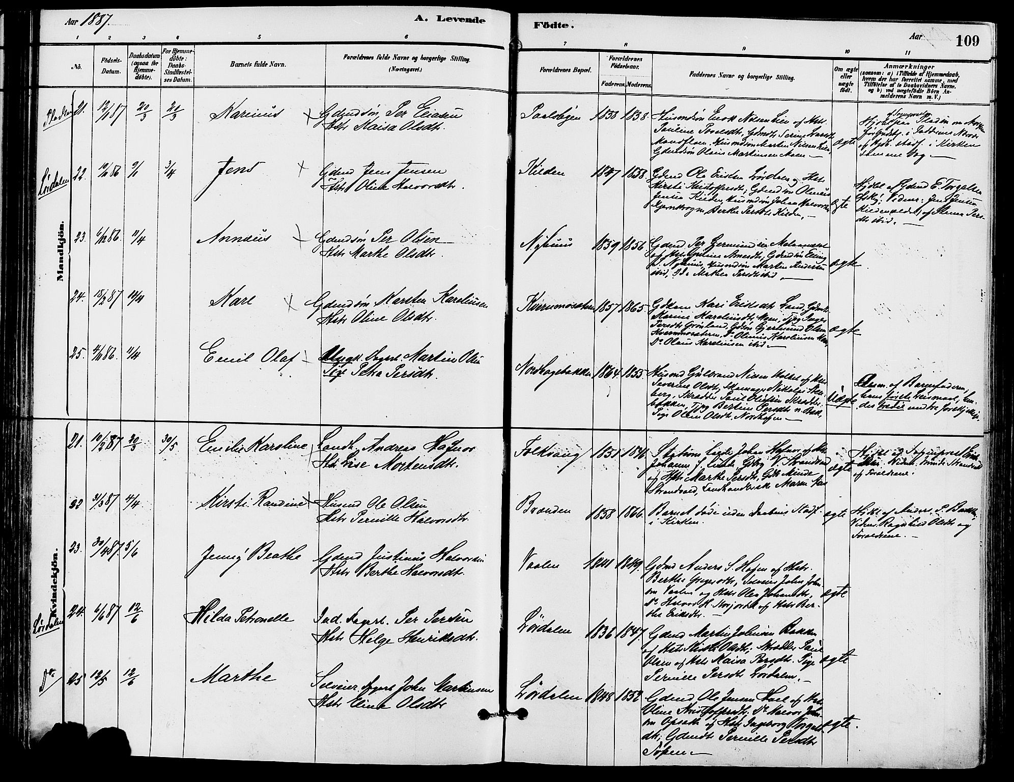 Trysil prestekontor, AV/SAH-PREST-046/H/Ha/Haa/L0008: Parish register (official) no. 8, 1881-1897, p. 109