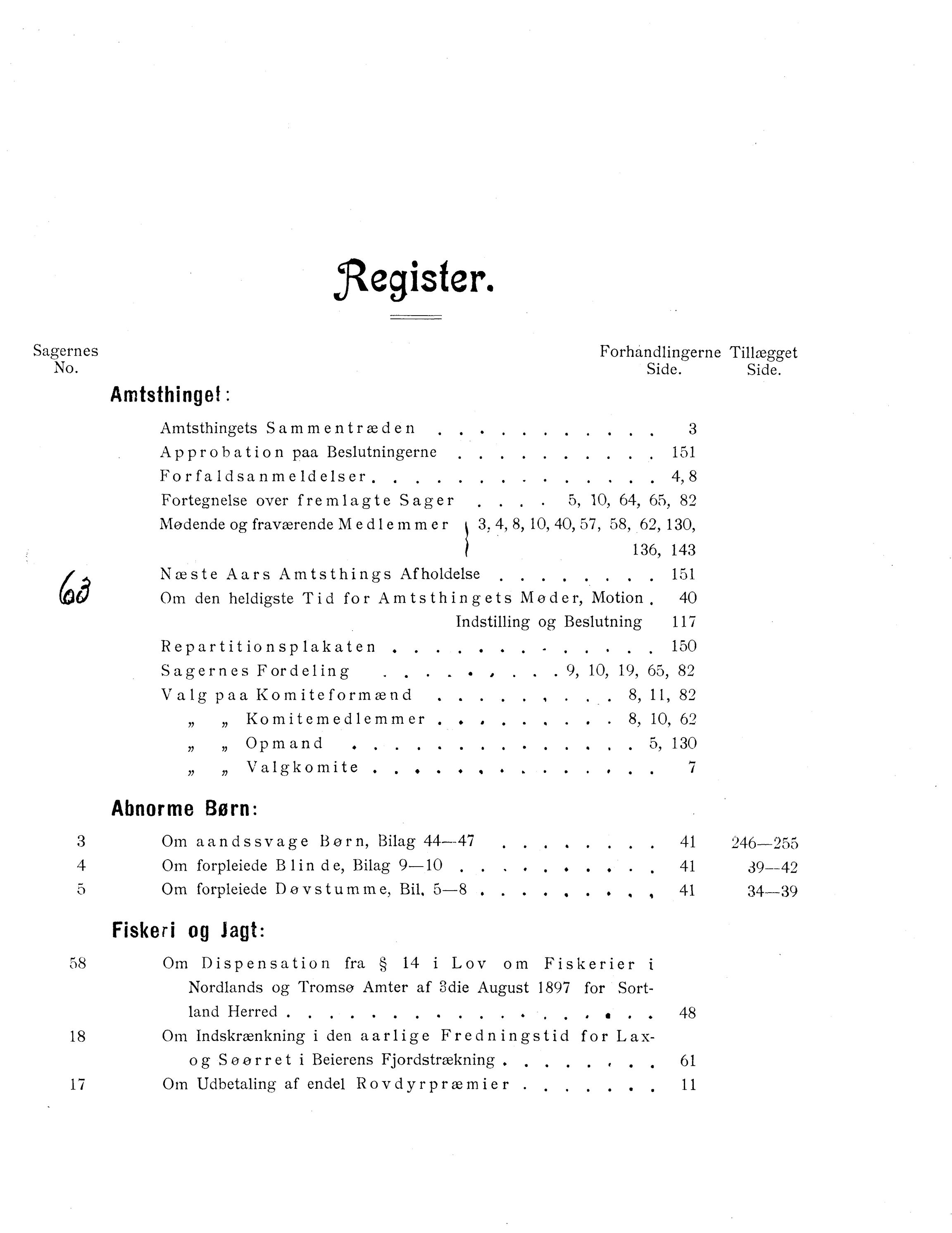 Nordland Fylkeskommune. Fylkestinget, AIN/NFK-17/176/A/Ac/L0022: Fylkestingsforhandlinger 1899, 1899