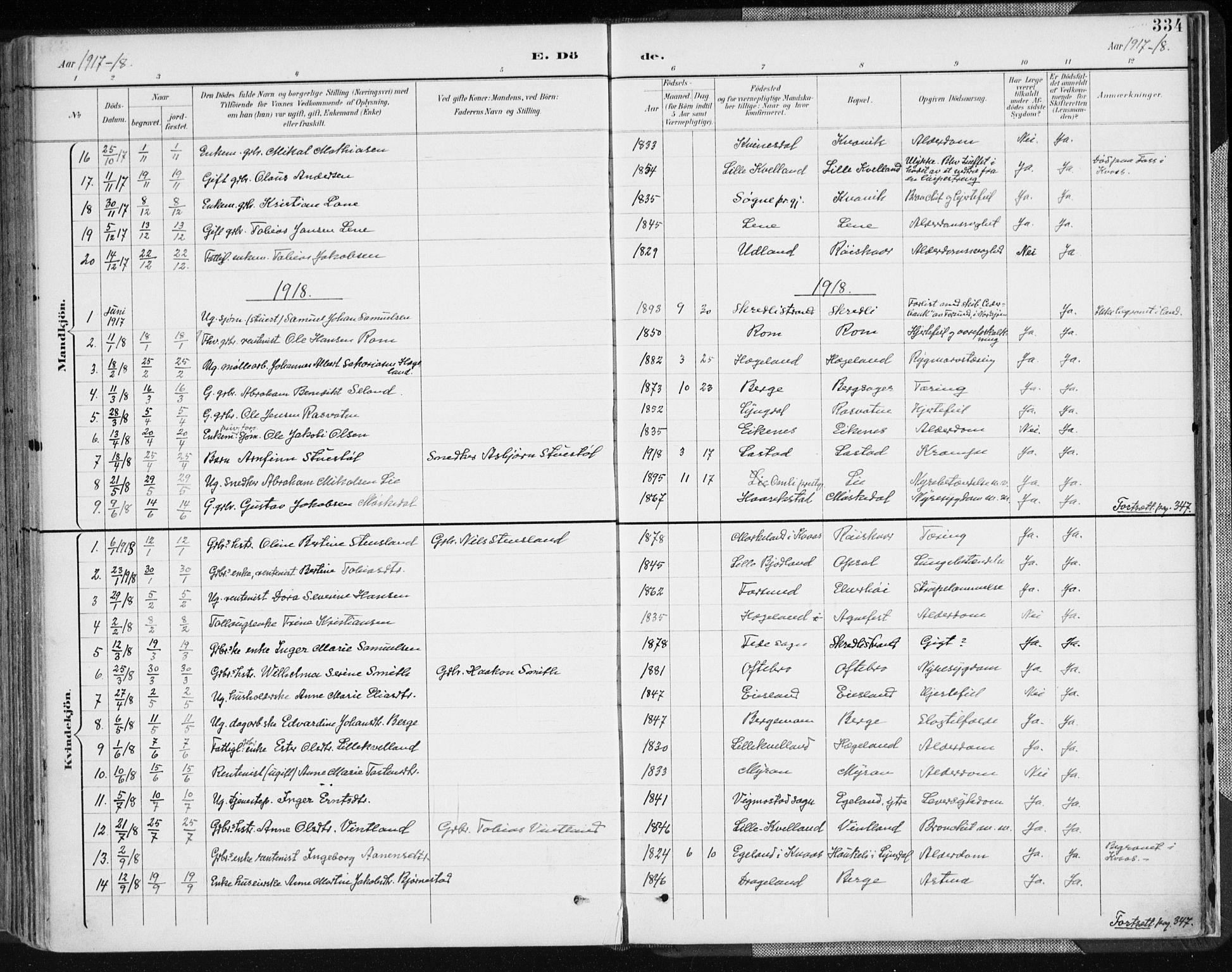 Lyngdal sokneprestkontor, SAK/1111-0029/F/Fa/Fac/L0012: Parish register (official) no. A 12, 1894-1918, p. 334