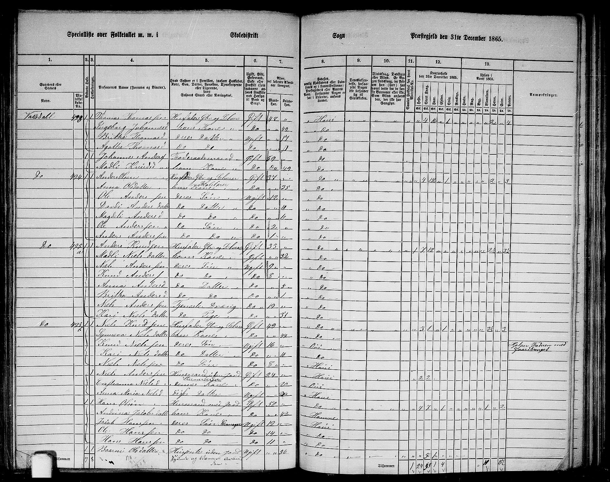 RA, 1865 census for Haus, 1865, p. 196