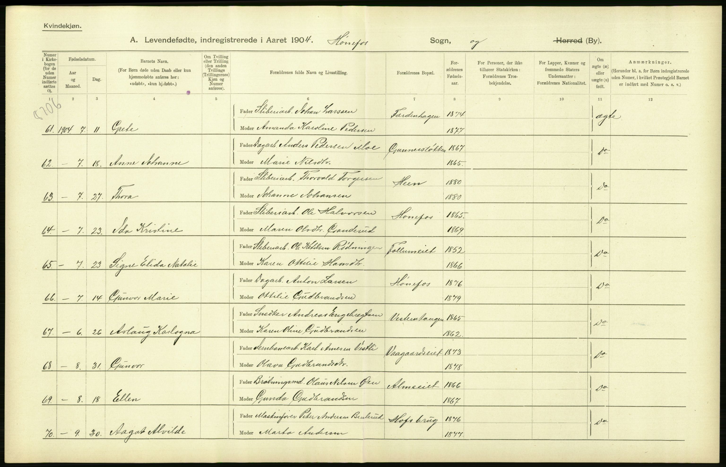 Statistisk sentralbyrå, Sosiodemografiske emner, Befolkning, AV/RA-S-2228/D/Df/Dfa/Dfab/L0007: Buskerud amt: Fødte, gifte, døde, 1904, p. 362