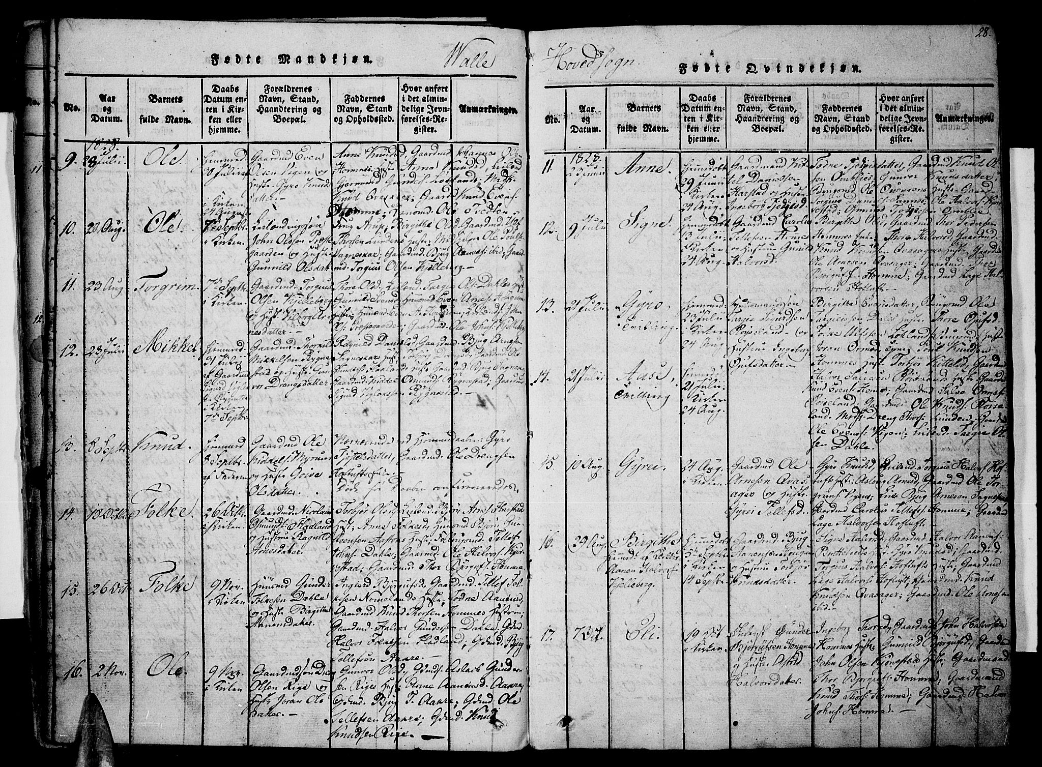Valle sokneprestkontor, SAK/1111-0044/F/Fa/Fac/L0005: Parish register (official) no. A 5 /1, 1816-1831, p. 28