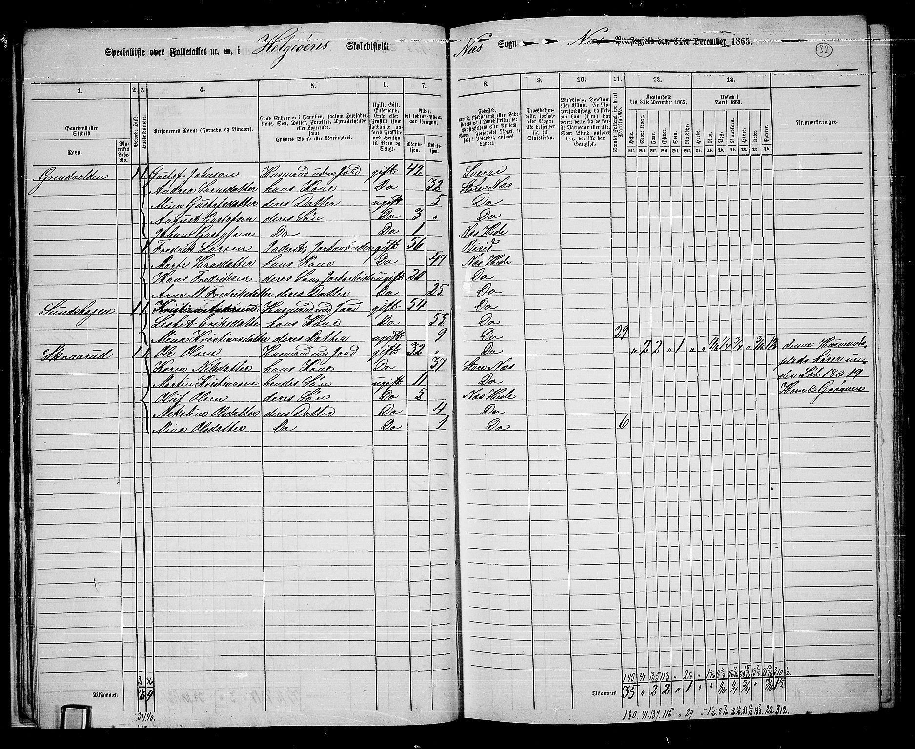 RA, 1865 census for Nes, 1865, p. 30