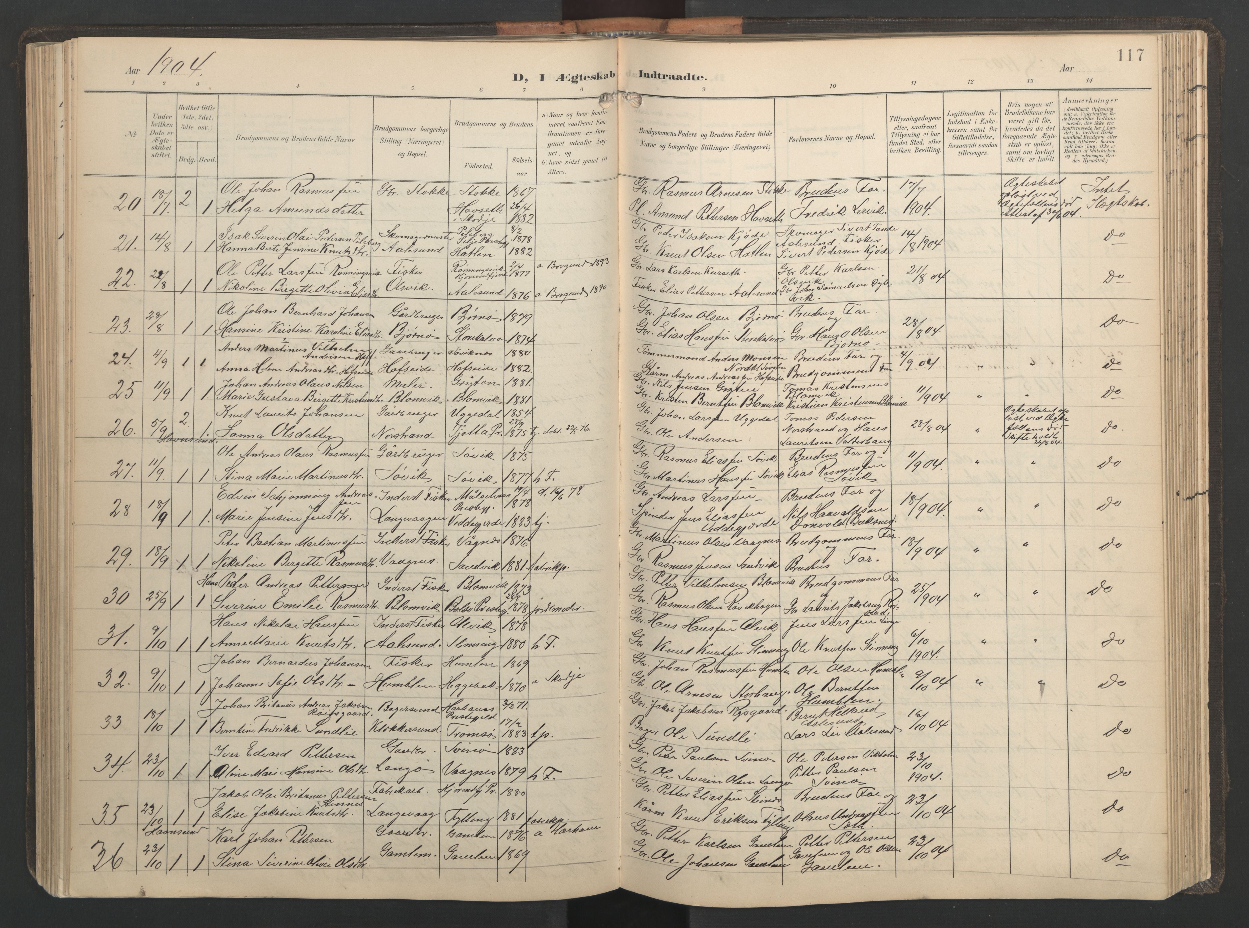 Ministerialprotokoller, klokkerbøker og fødselsregistre - Møre og Romsdal, AV/SAT-A-1454/528/L0433: Parish register (copy) no. 528C14, 1899-1922, p. 117