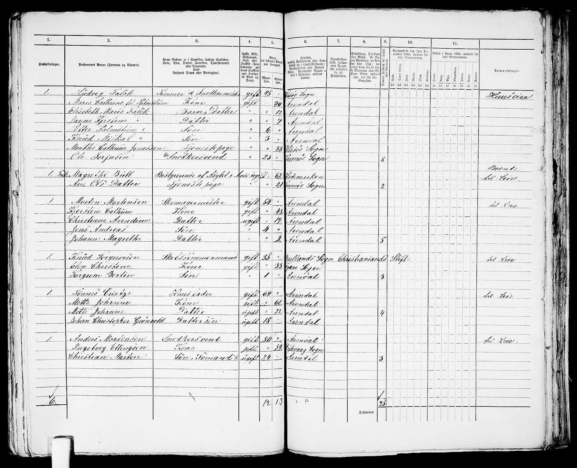 RA, 1865 census for Arendal, 1865, p. 607