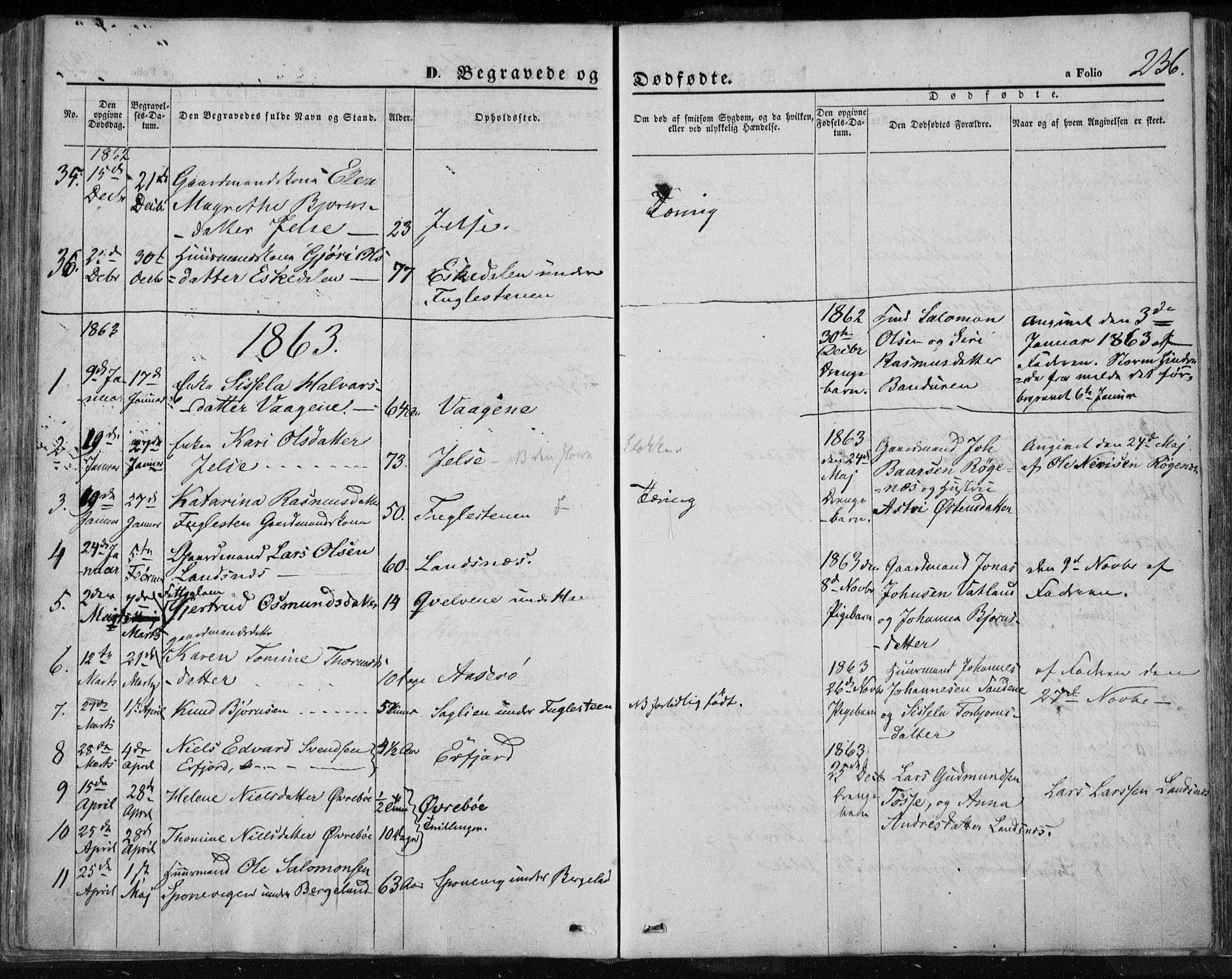 Jelsa sokneprestkontor, AV/SAST-A-101842/01/IV: Parish register (official) no. A 7, 1854-1866, p. 236